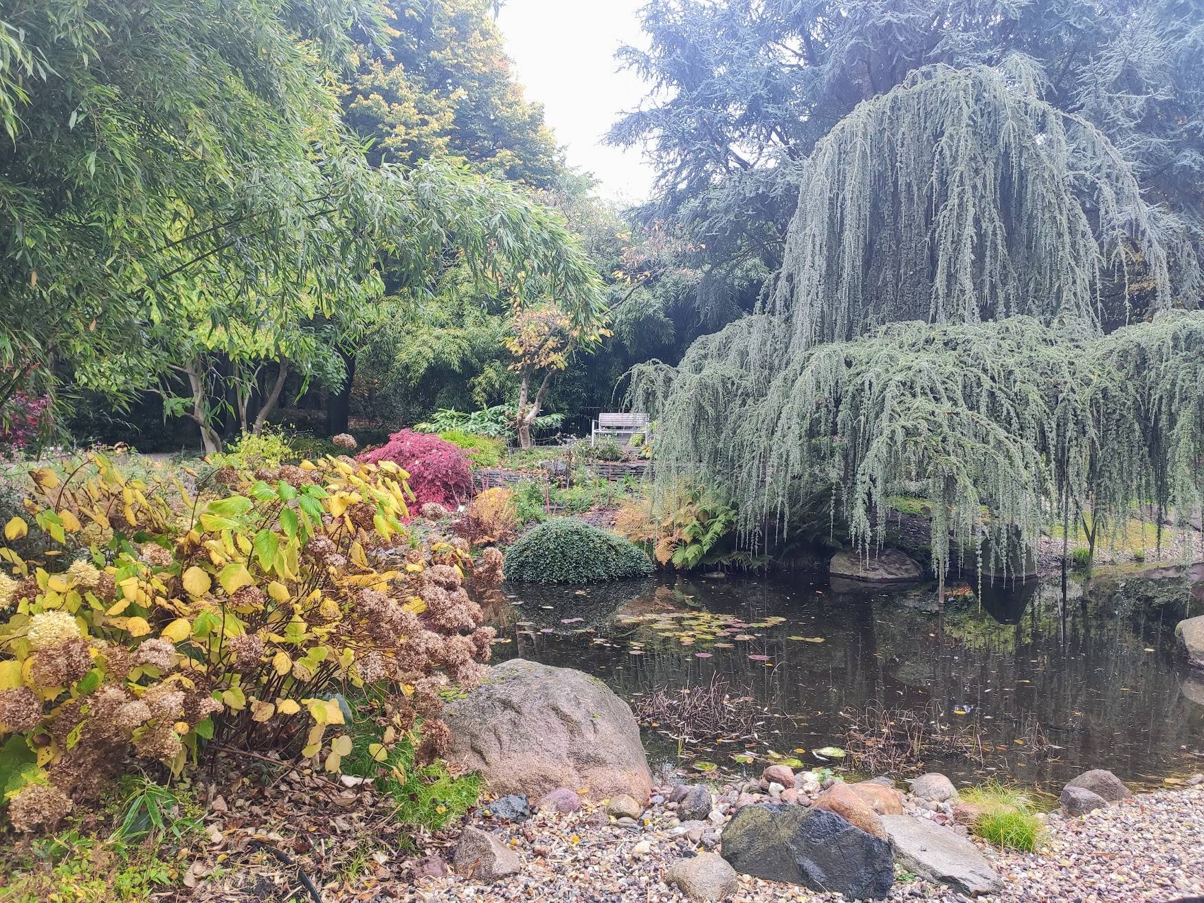 Loki Schmidt Garten in Klein Flottbek Scrolller