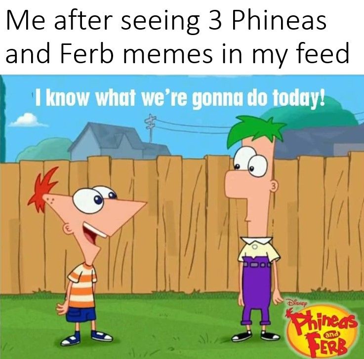 Making a Phineas and Ferb meme. That's it. That's what we're doing ...