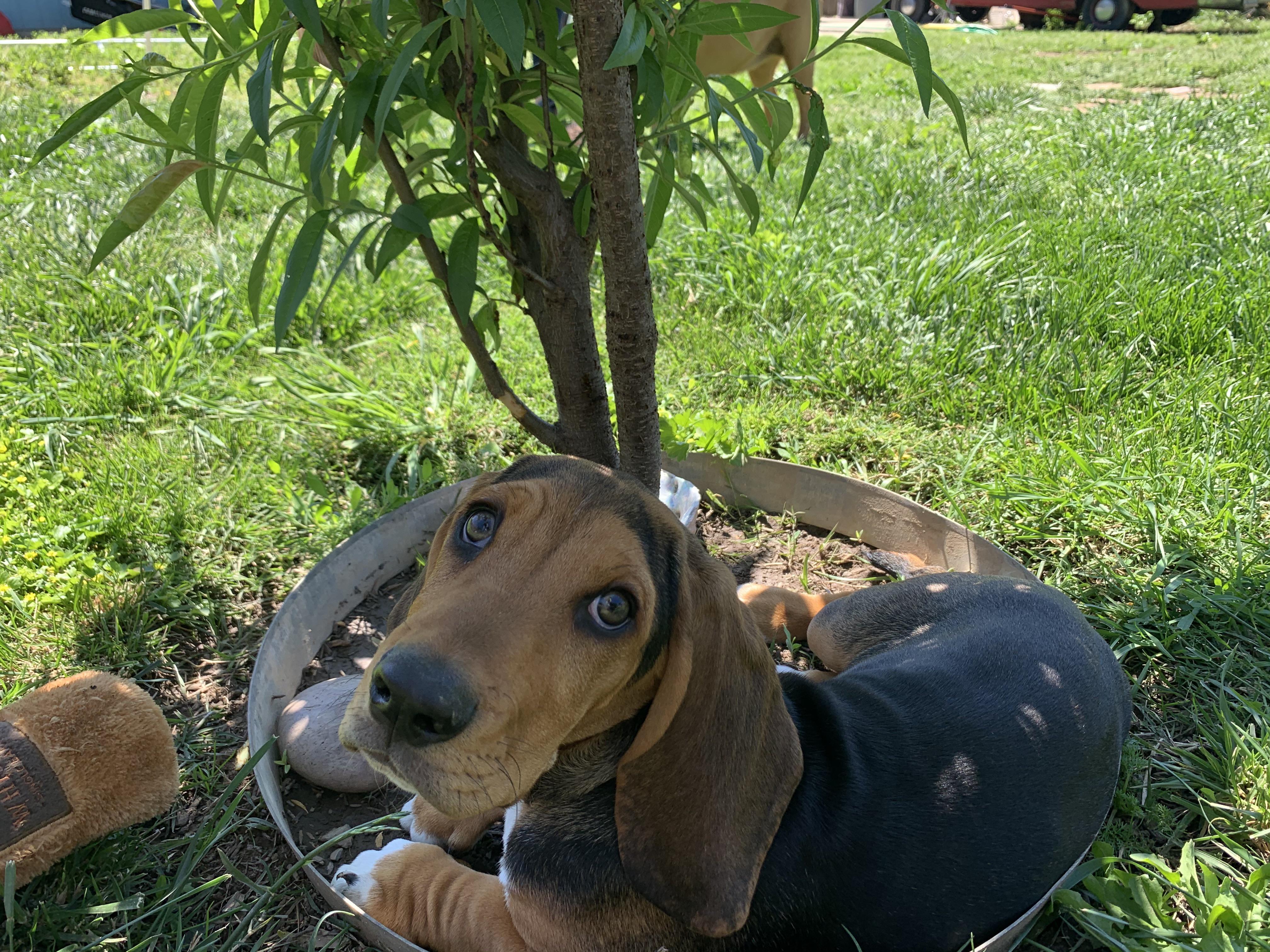 Meet Jerry The Most Handsome Boy Scrolller
