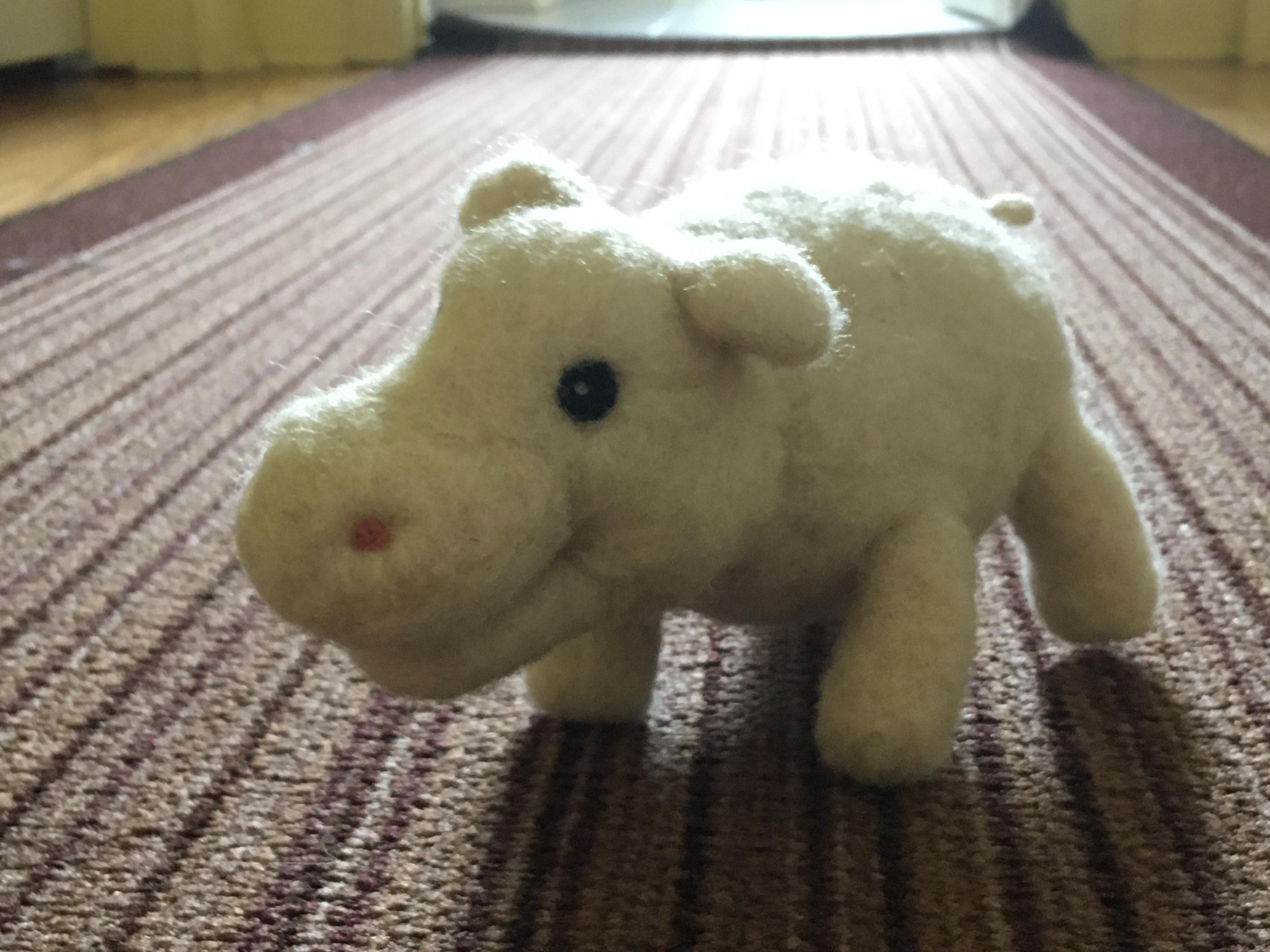 Meet my House Hippo Scrolller