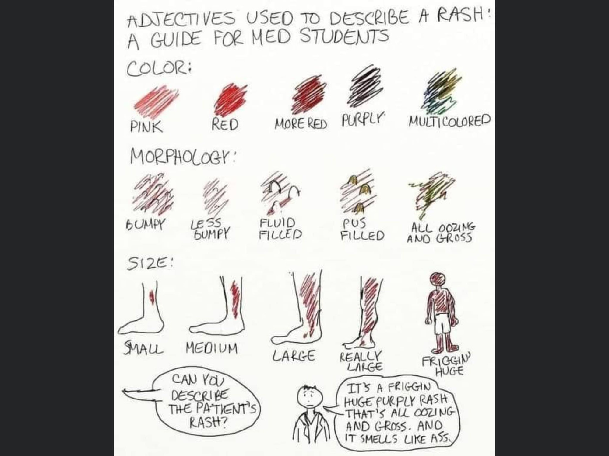 [Meme] Med student rash guide | Scrolller