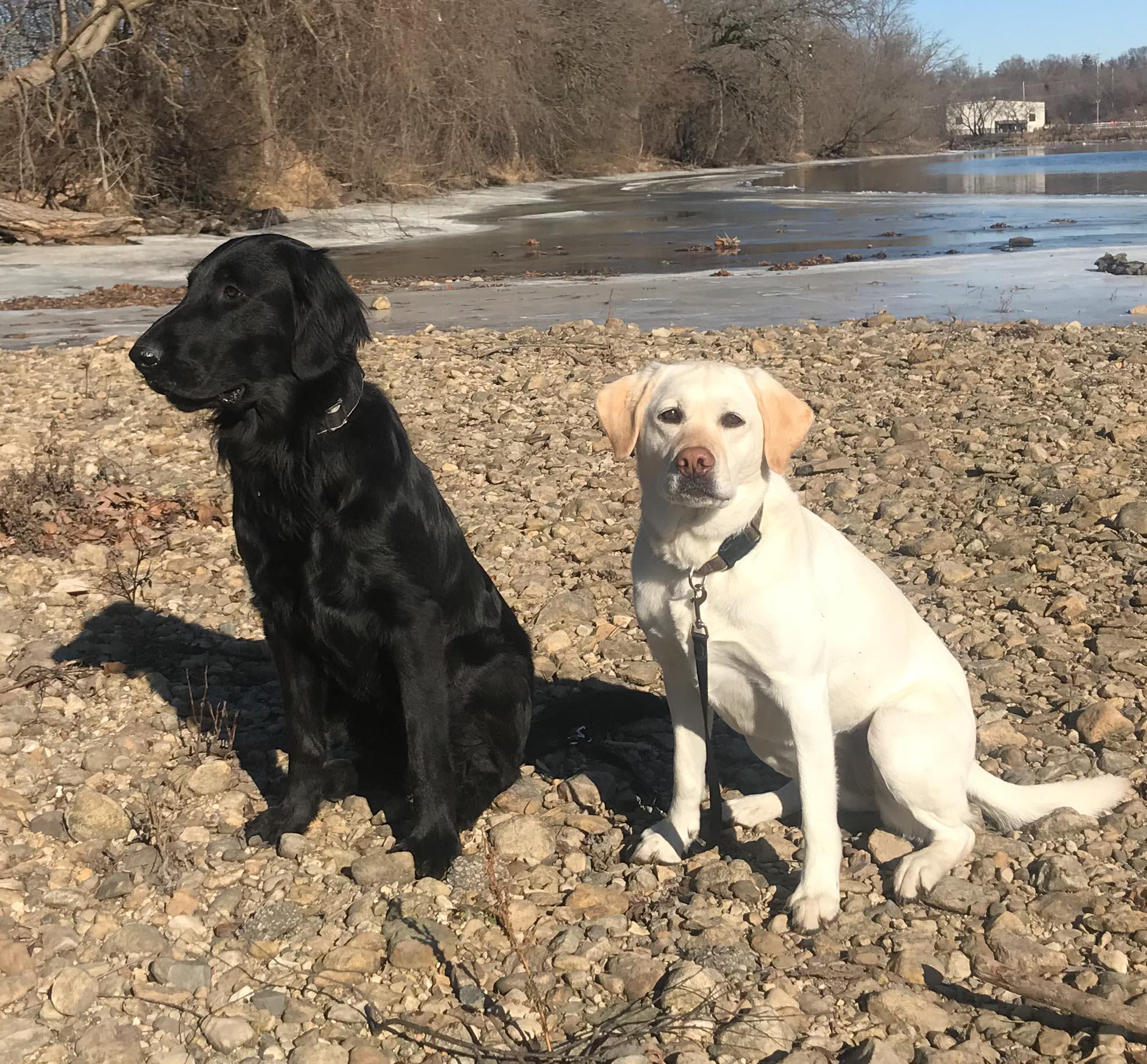 Milo with best bud Ellie Scrolller