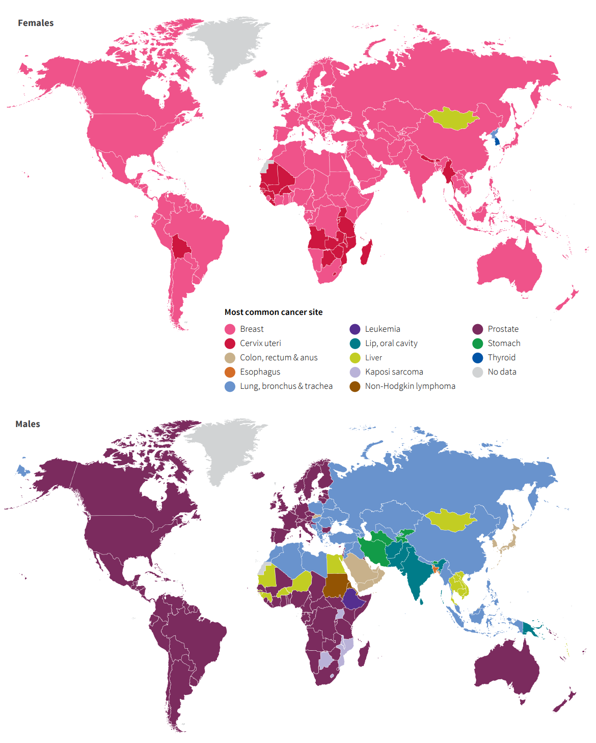 Most Commonly Diagnosed Cancers Worldwide By Sex 2018 American Cancer