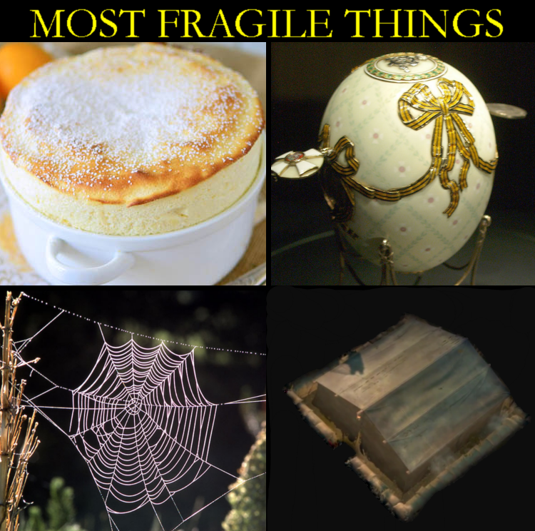 Most Fragile Things | Scrolller