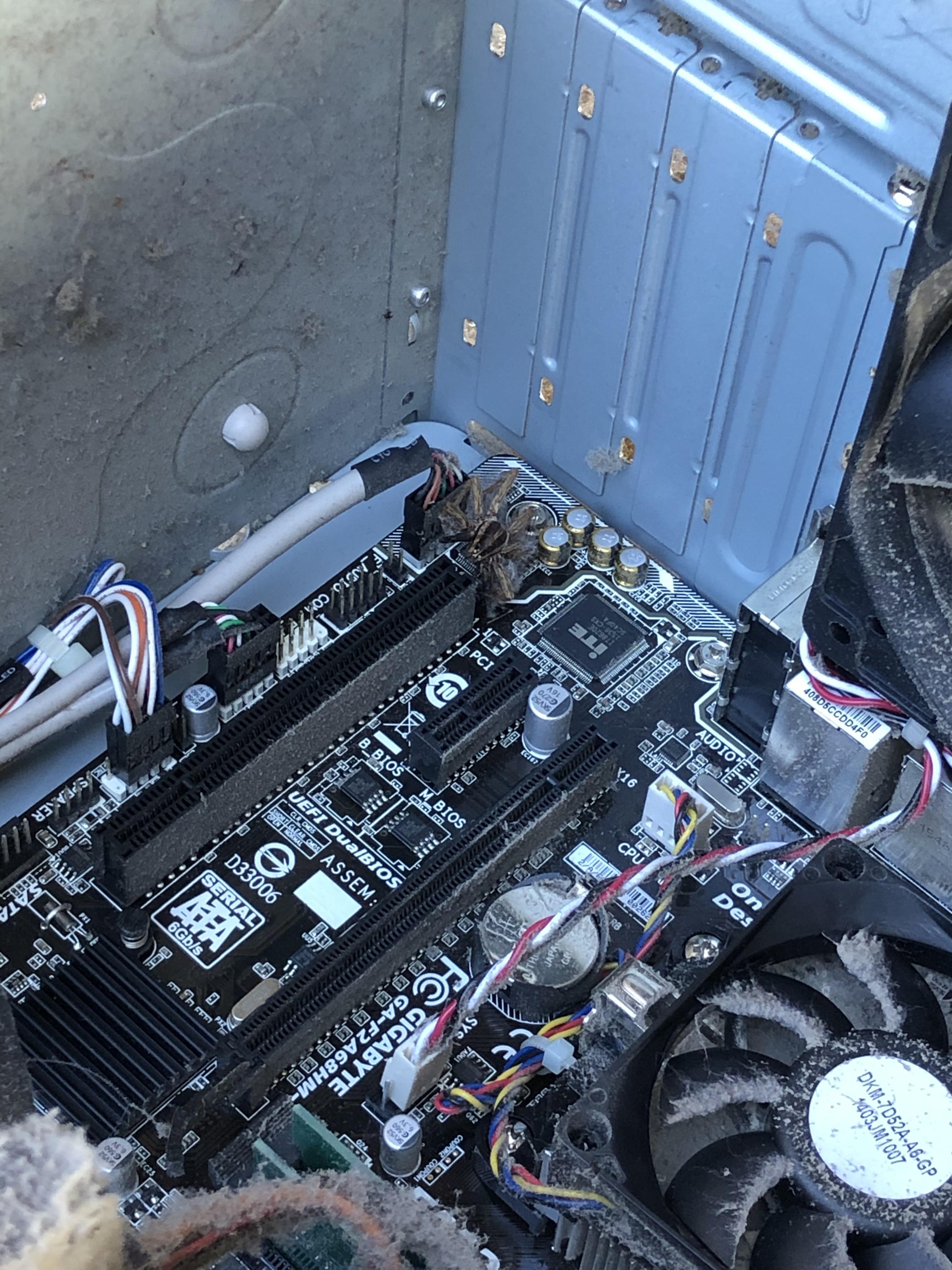 “My computer is acting kind of buggy” | Scrolller