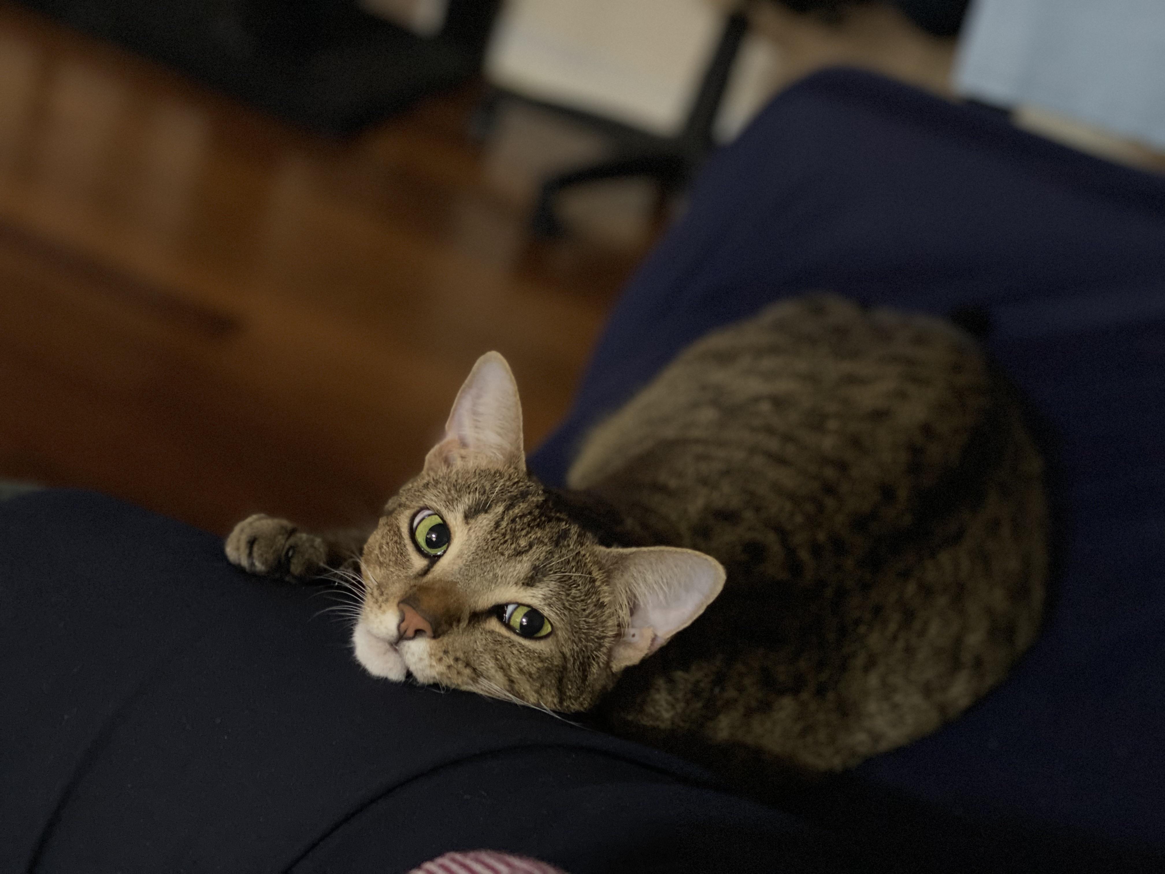 My Precious Scrolller