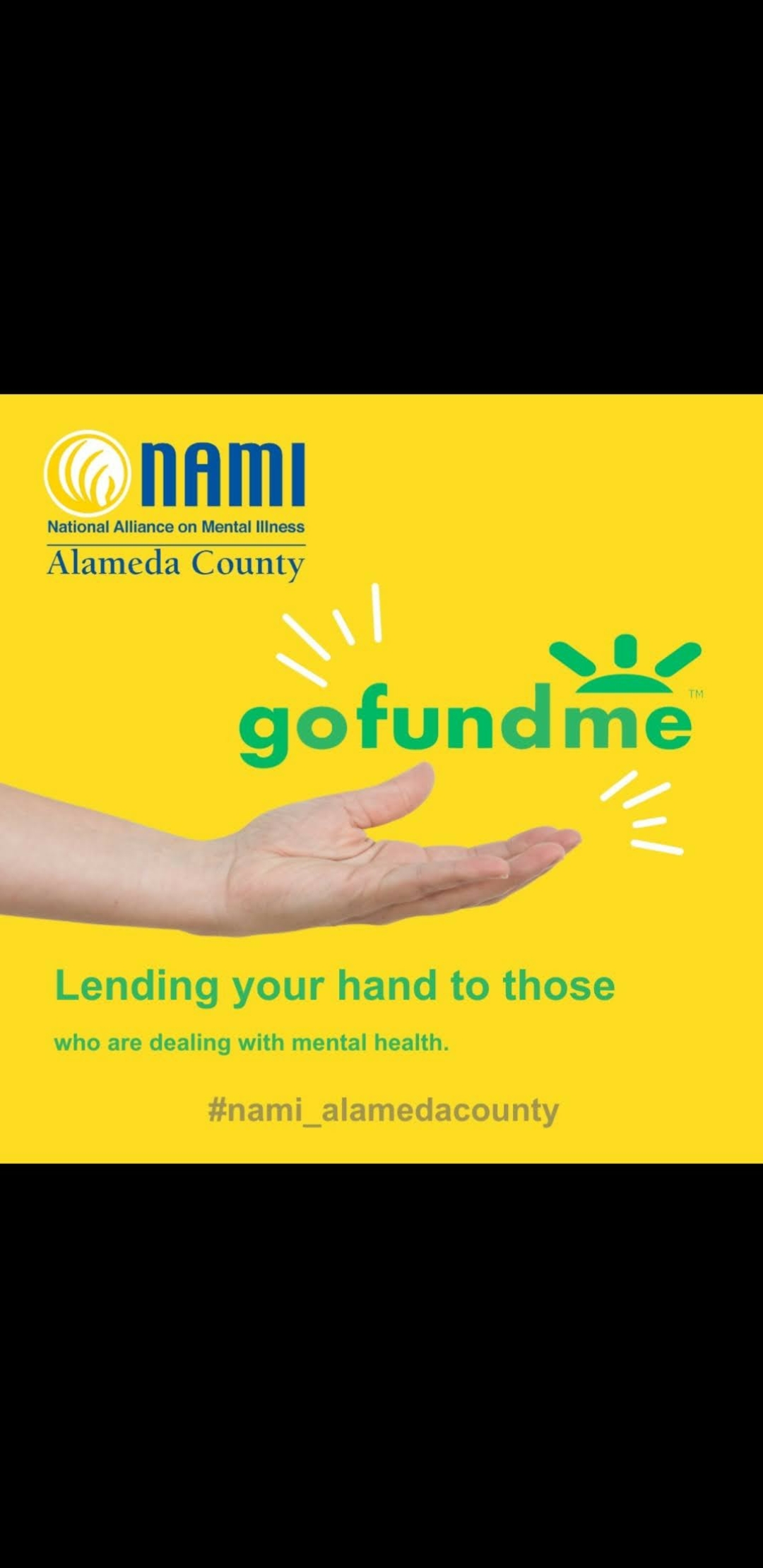 NAMI National Alliance On Mental Illness Needs Your Help Please Donate To The Go Fundme Link