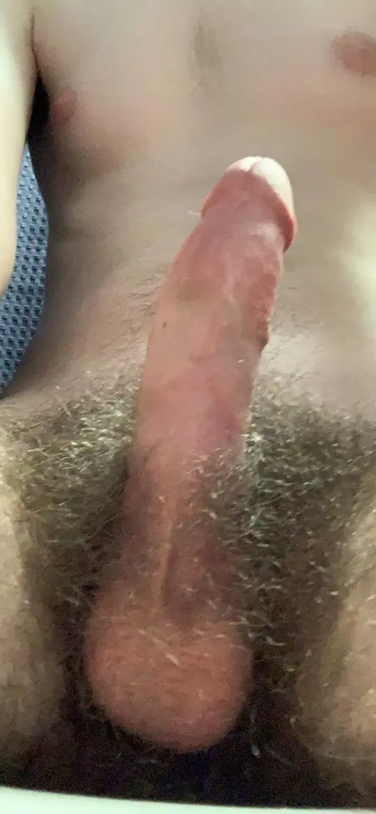 Close-up pelfie of a slim white man's erect uncut penis with dark pubic hair.