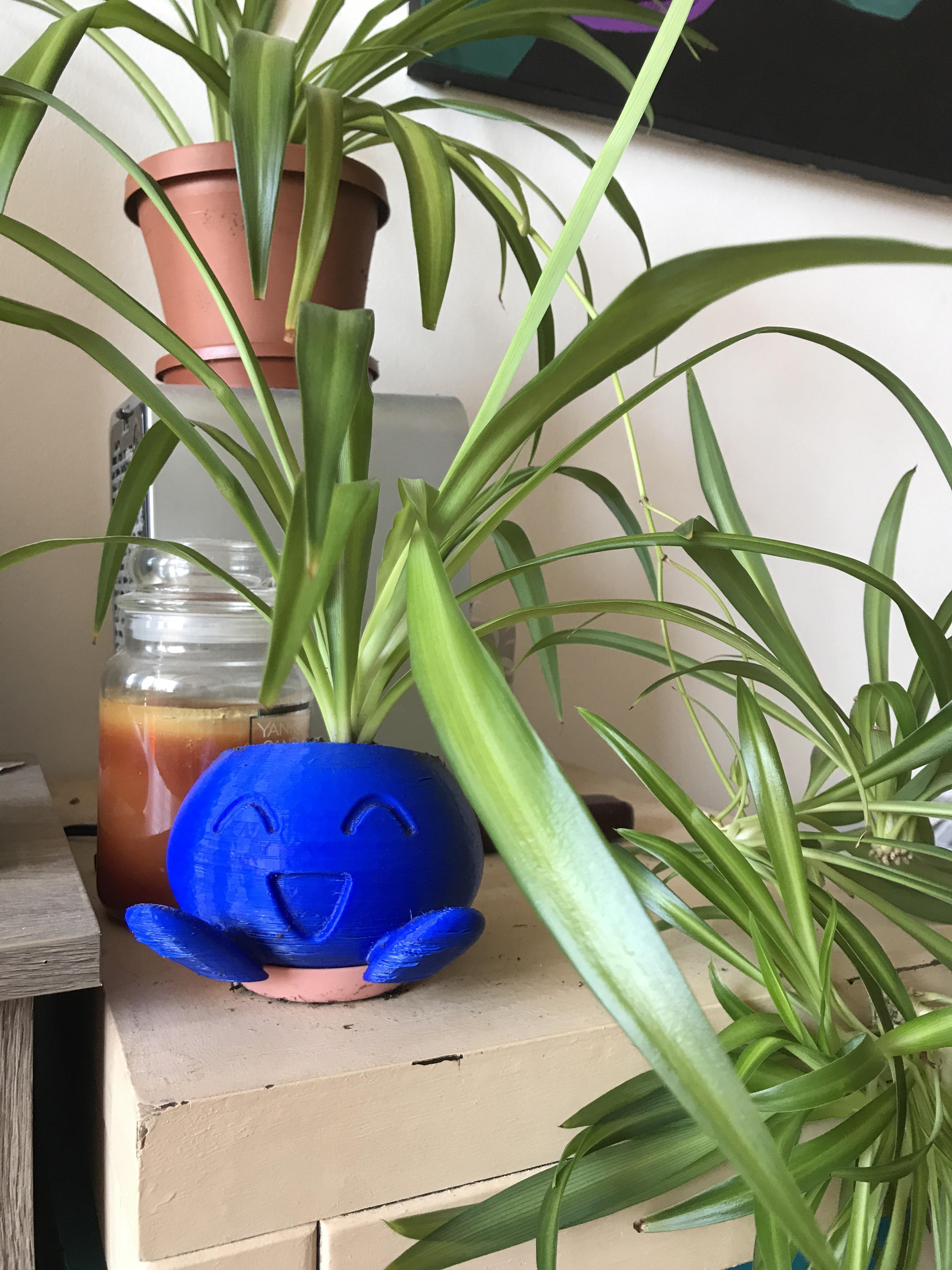 Astonishing! Discover The Planet'S Littlest Spider! - kmrpfoc