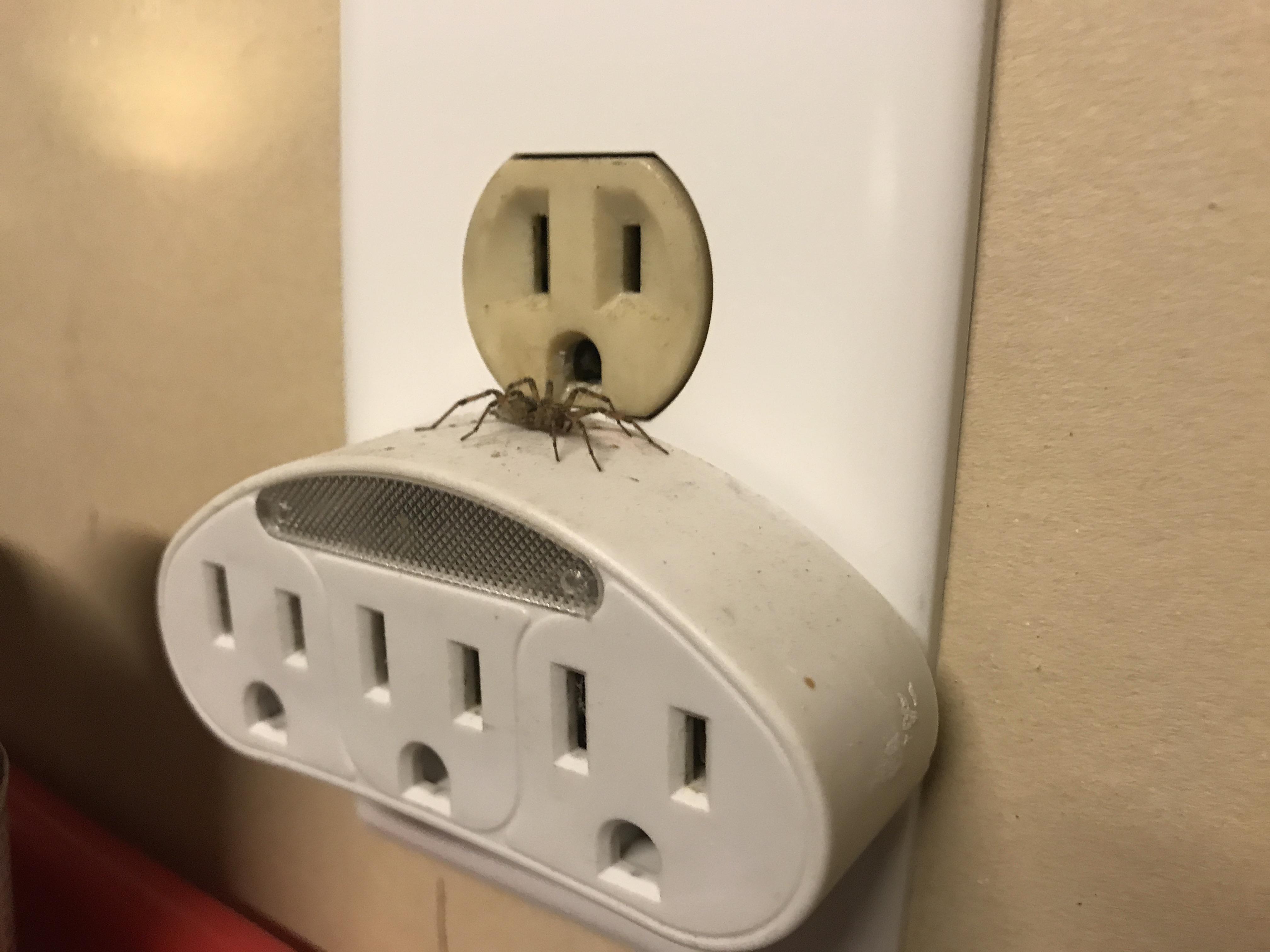 Nope, don’t need electricity that bad! Scrolller