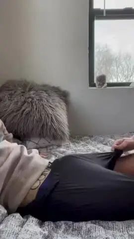 Cockgrowth