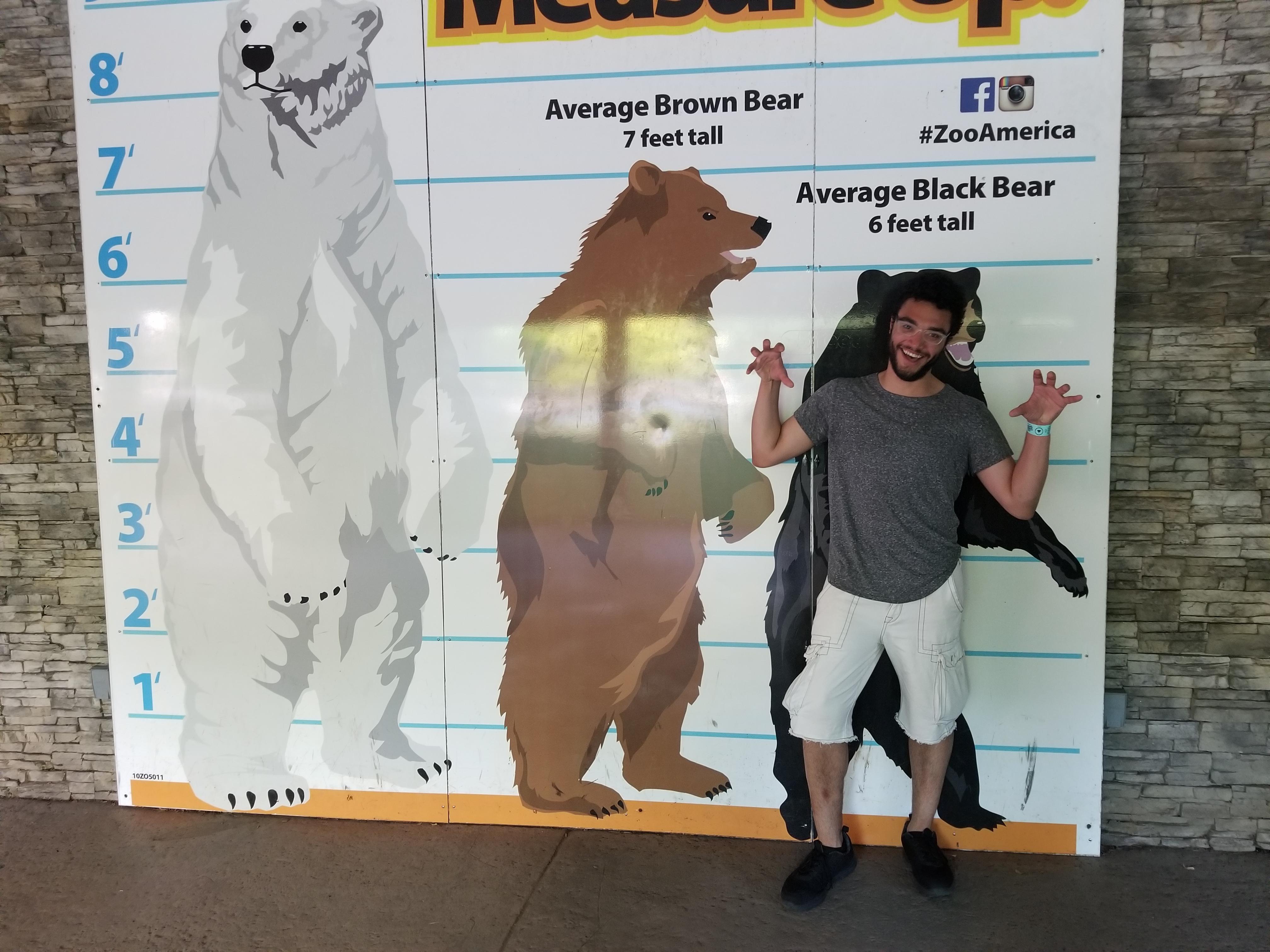 Not your average black bear | Scrolller