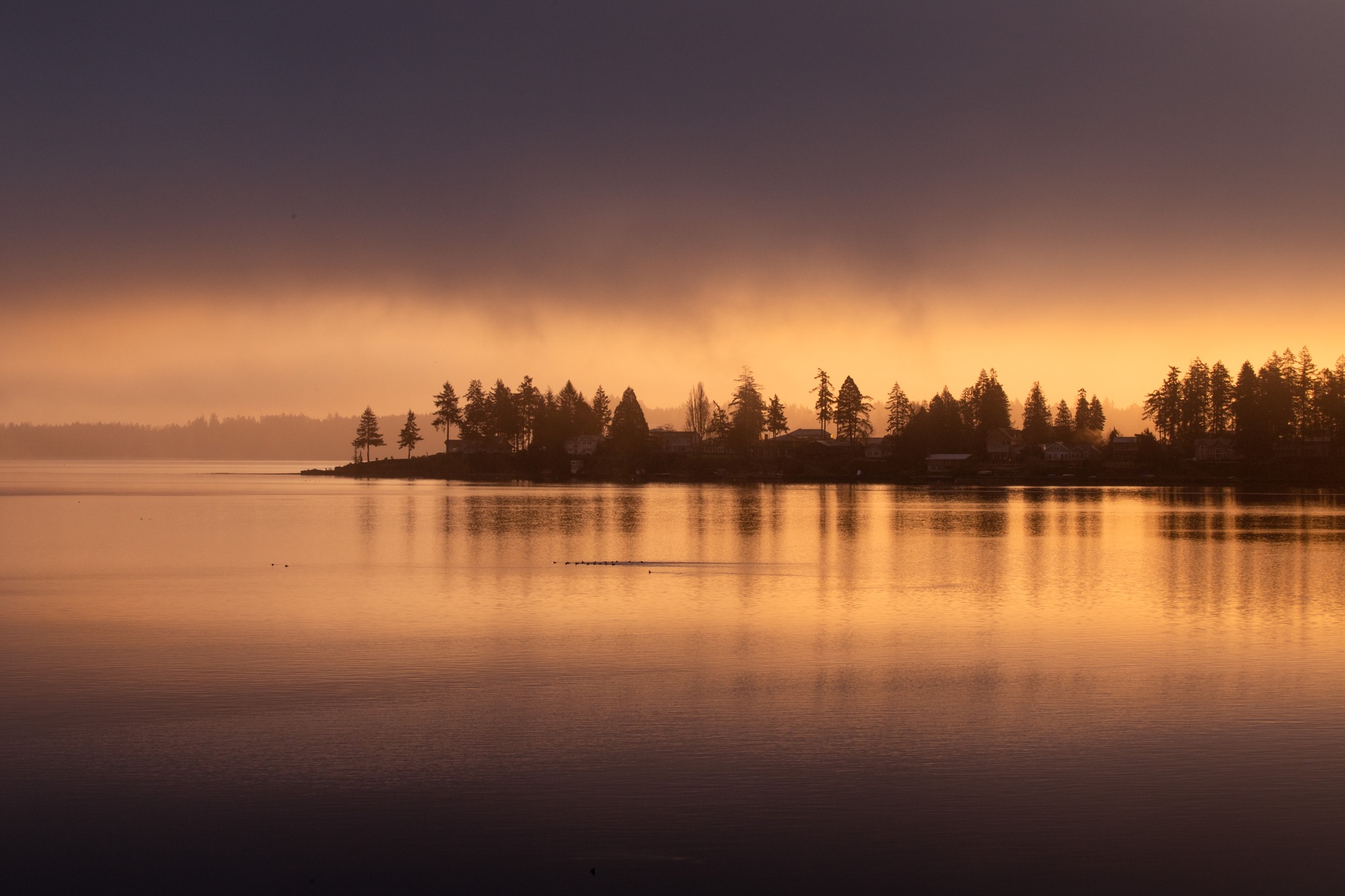 [OC] Eld Inlet, Washington [6240 x 4160] Scrolller