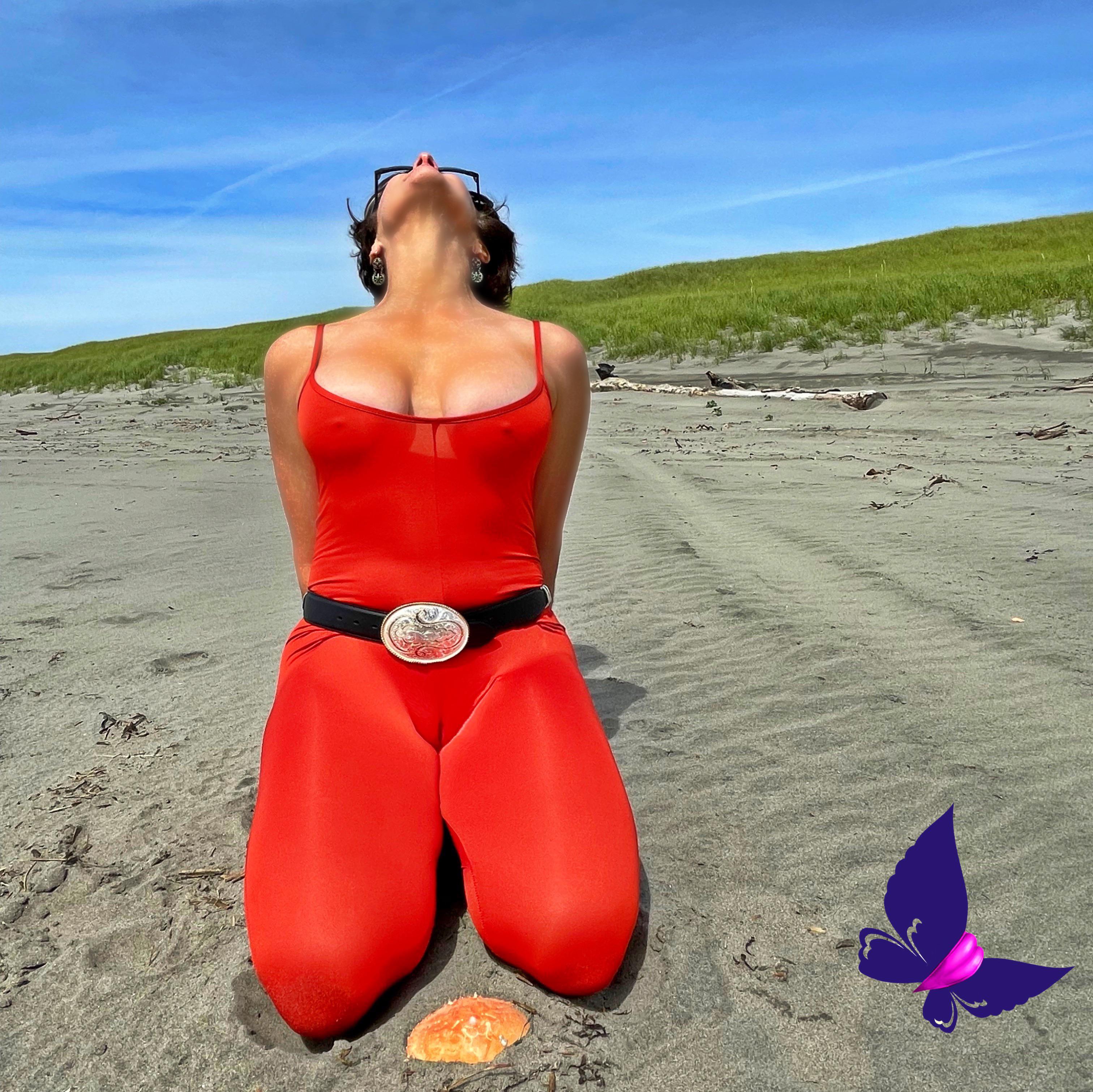 Oregon Coast Camel Toe Adventure Enjoy Miss Camelat Scrolller 6828