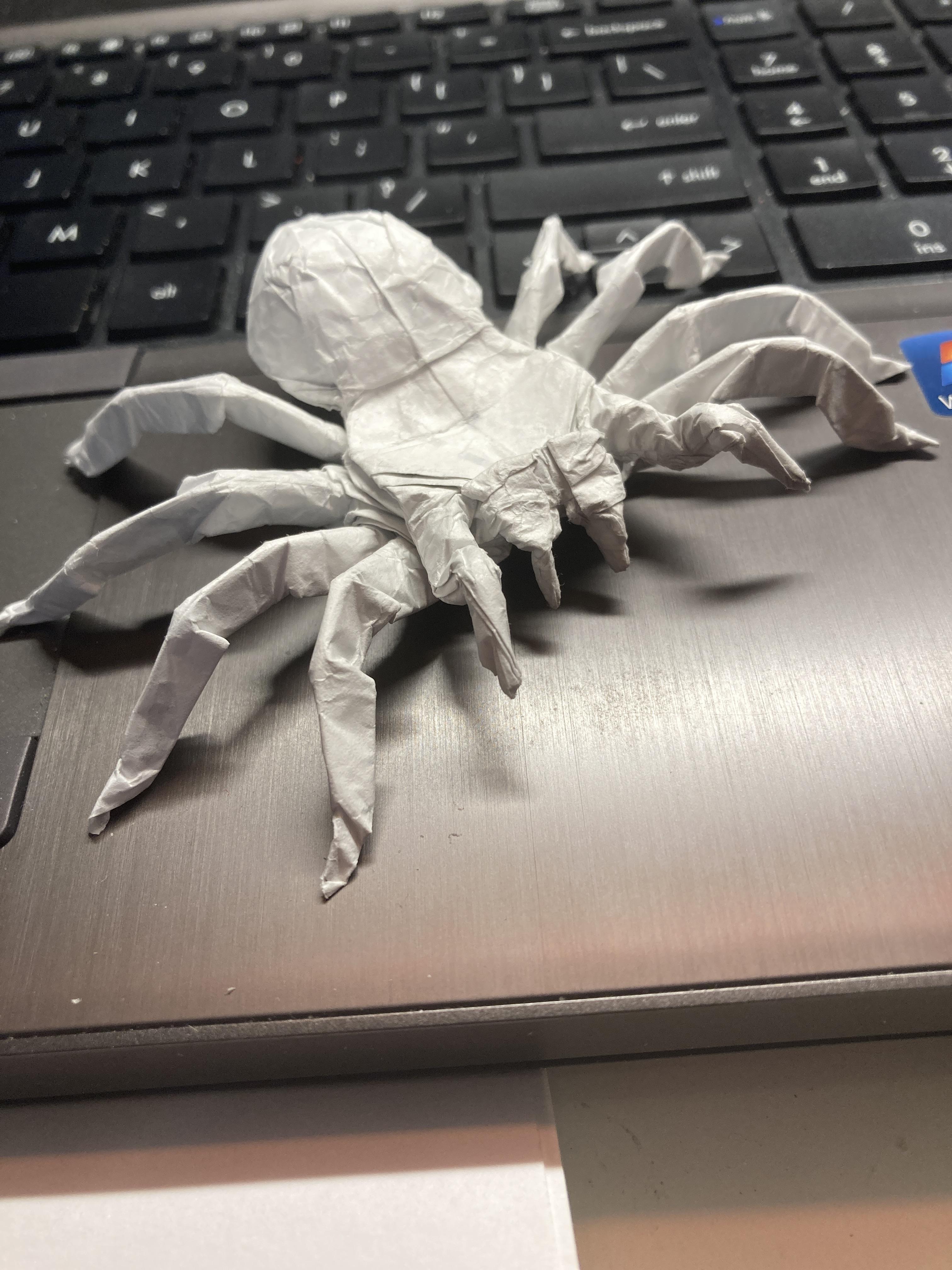 origami tarantula i made | Scrolller