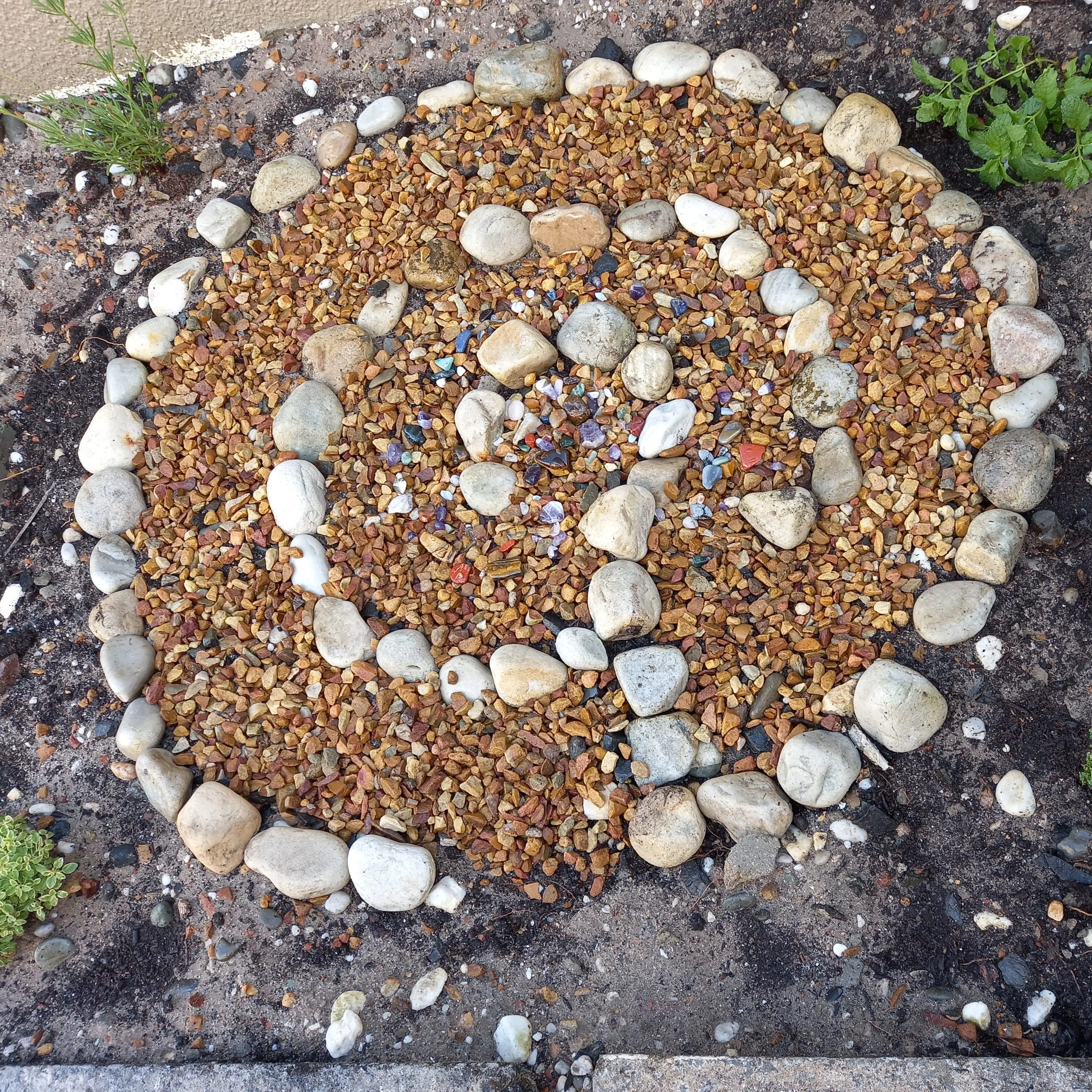 Our Faerie labyrinth surrounded by herbs and micro herbs. | Scrolller