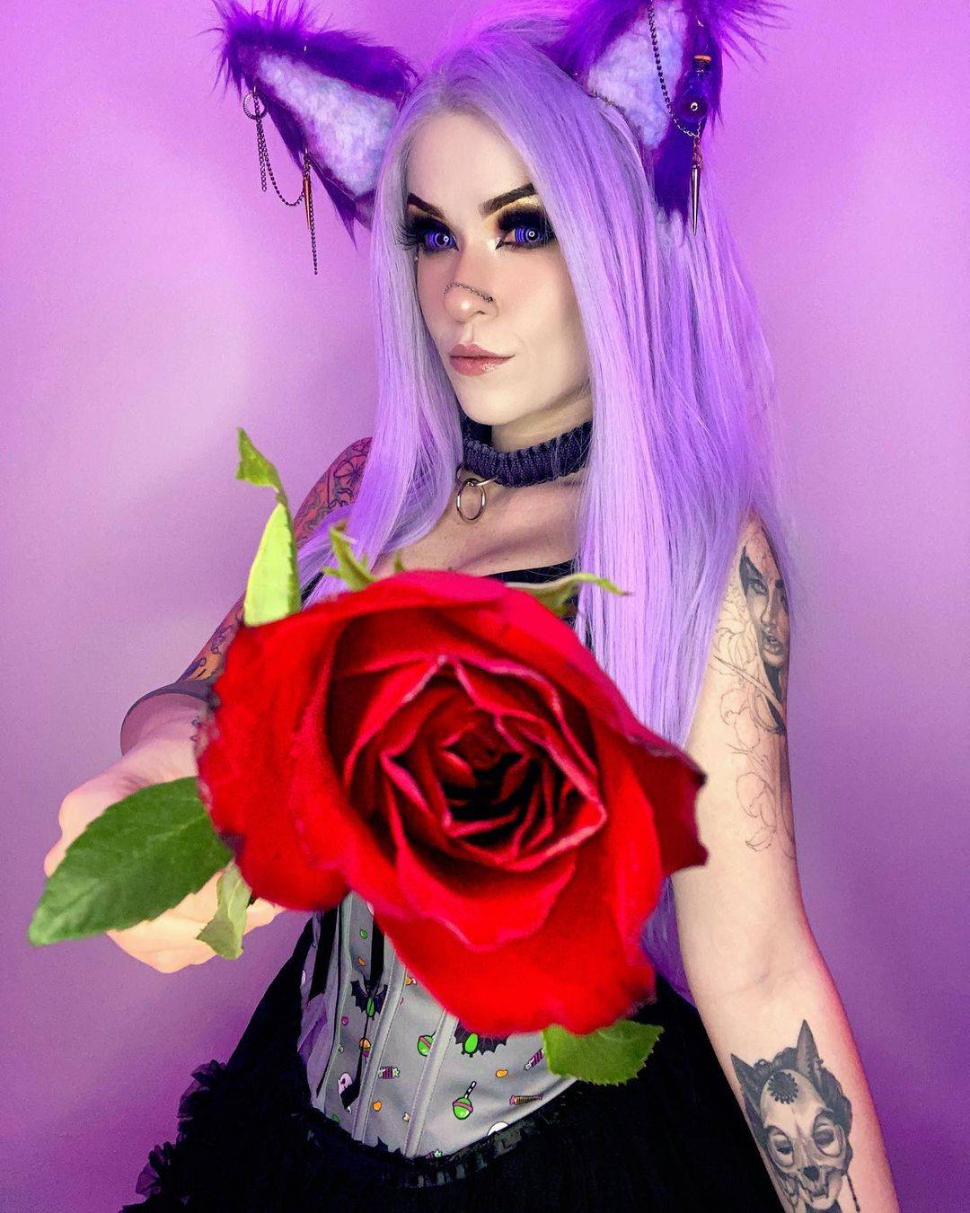 Pink fox 3 Scrolller