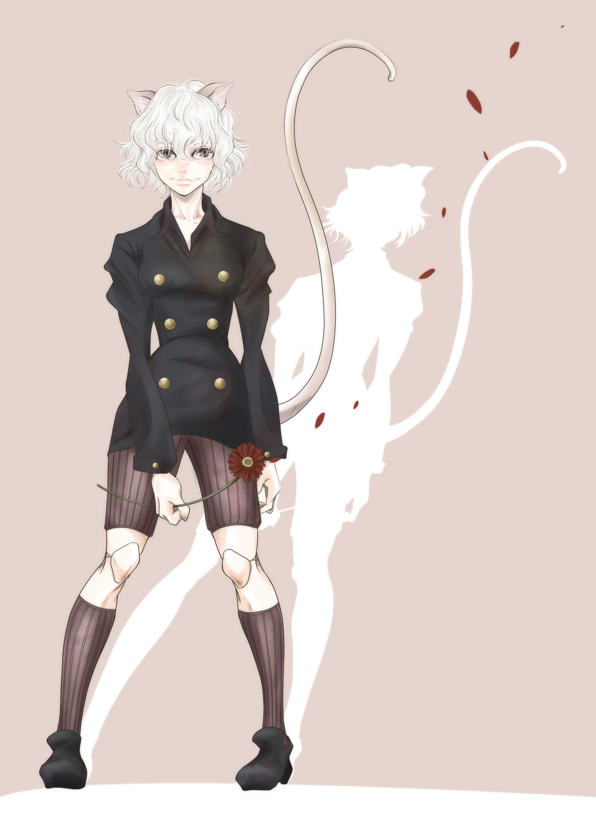 Pitou Scrolller