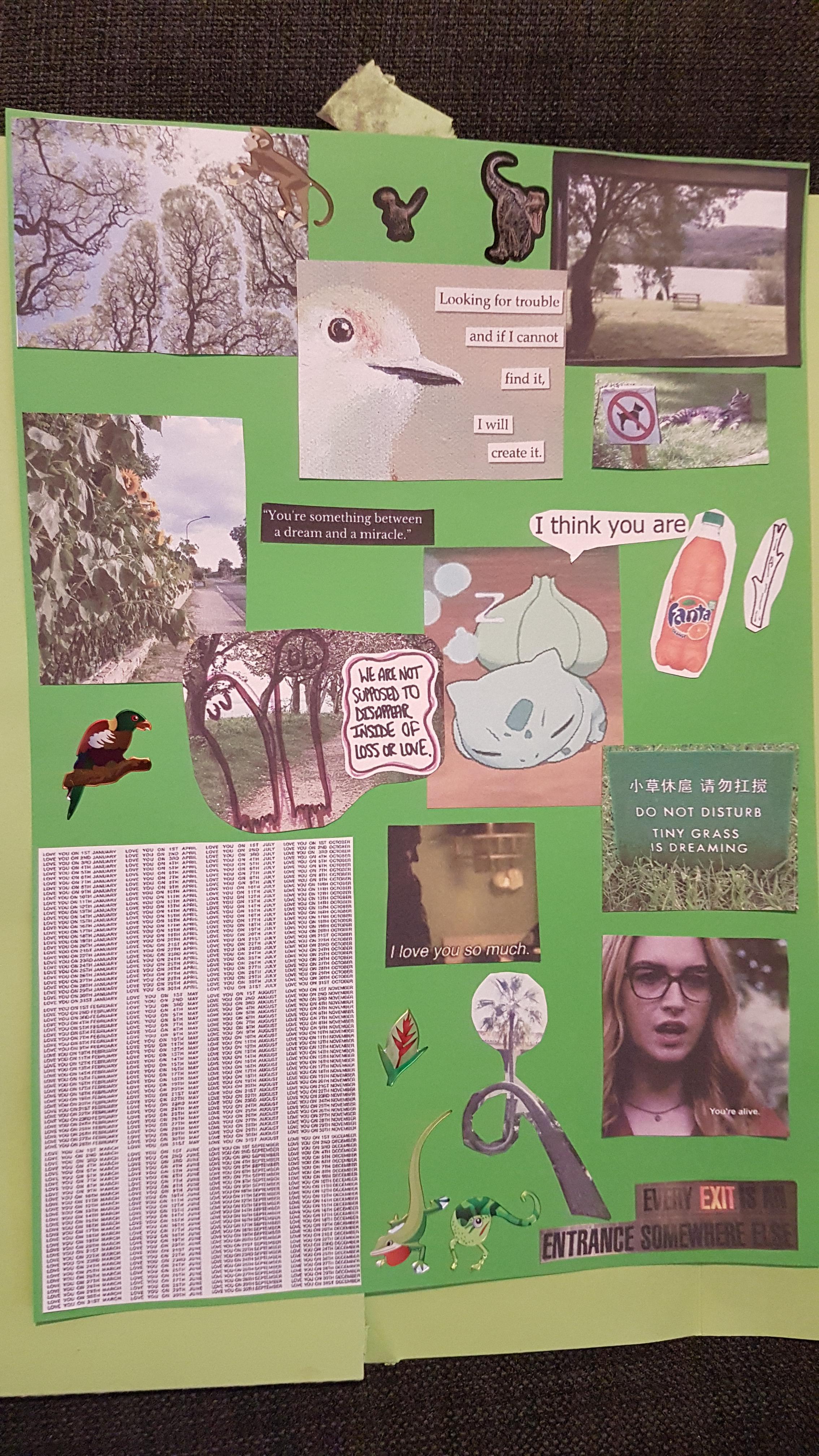 Plant and animal themed / uplifting moodboard I made for my boyfriend ...