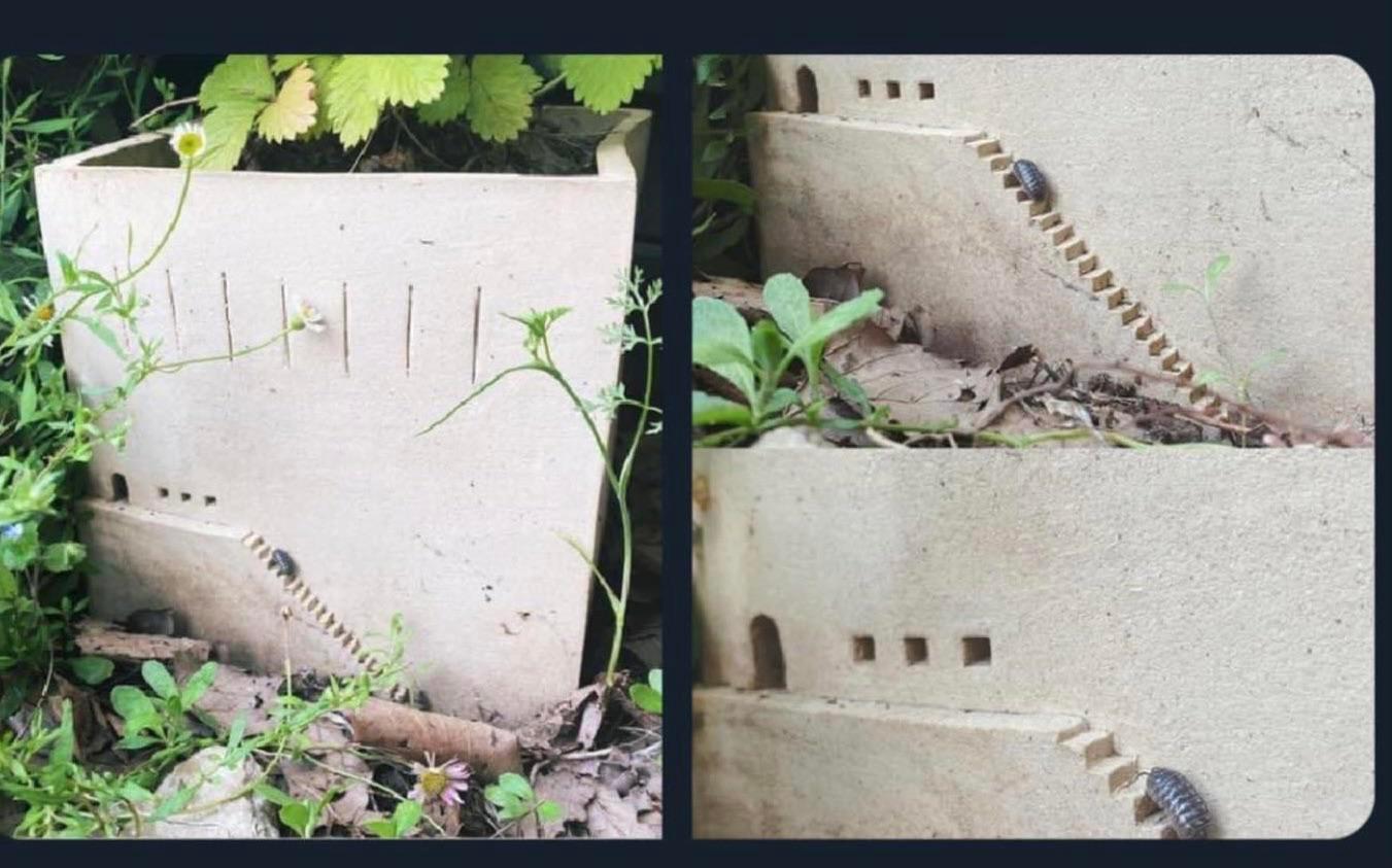 Planter pots with architecture for insects | Scrolller