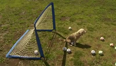 Playing Soccer Scrolller