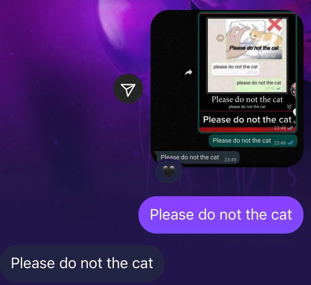 Please do not the cat scrolller