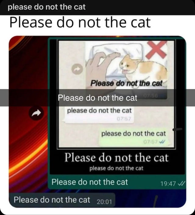 Please Do Not The Cat Scrolller