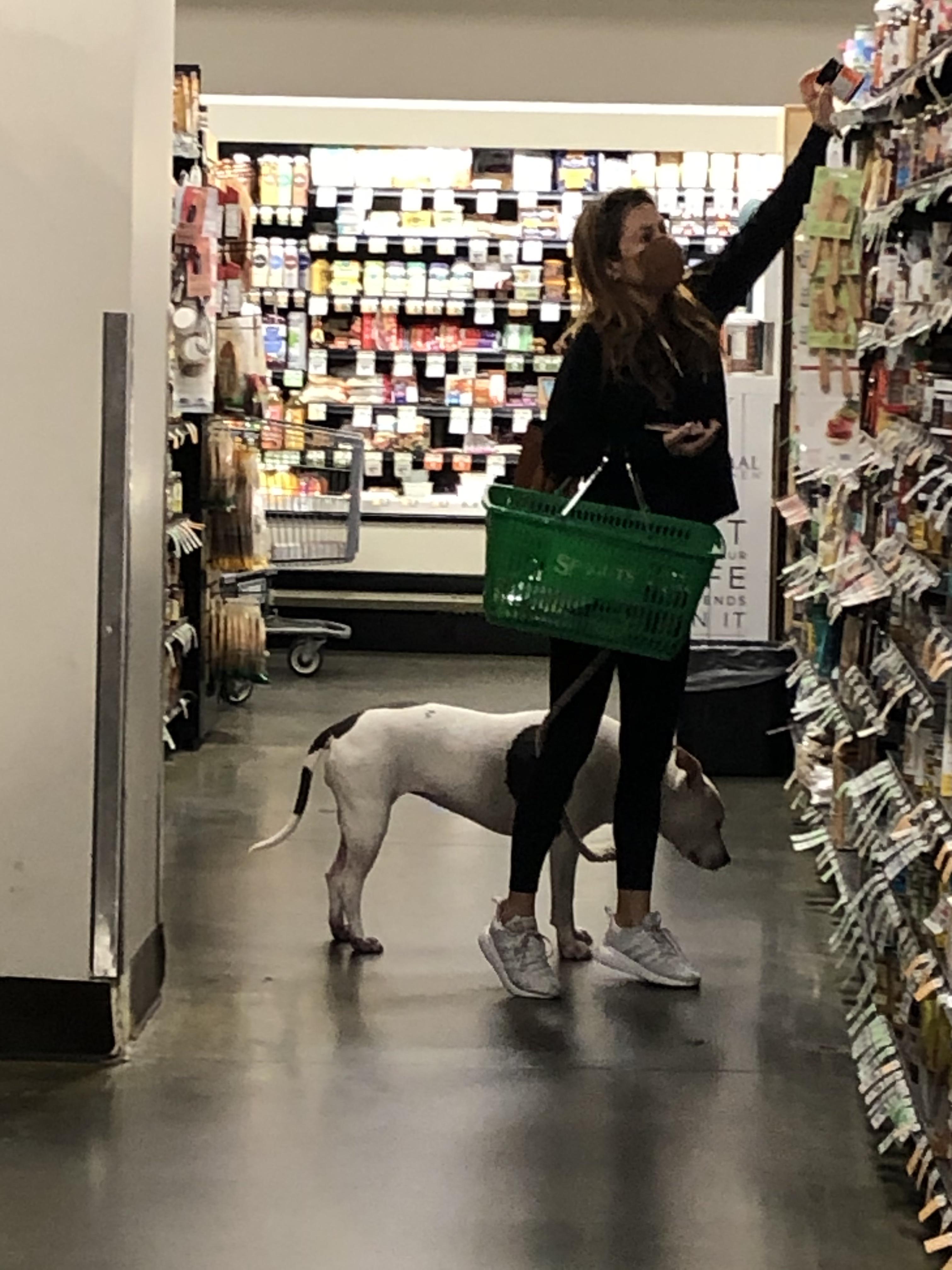 Please don’t bring your dogs grocery shopping unless they truly are