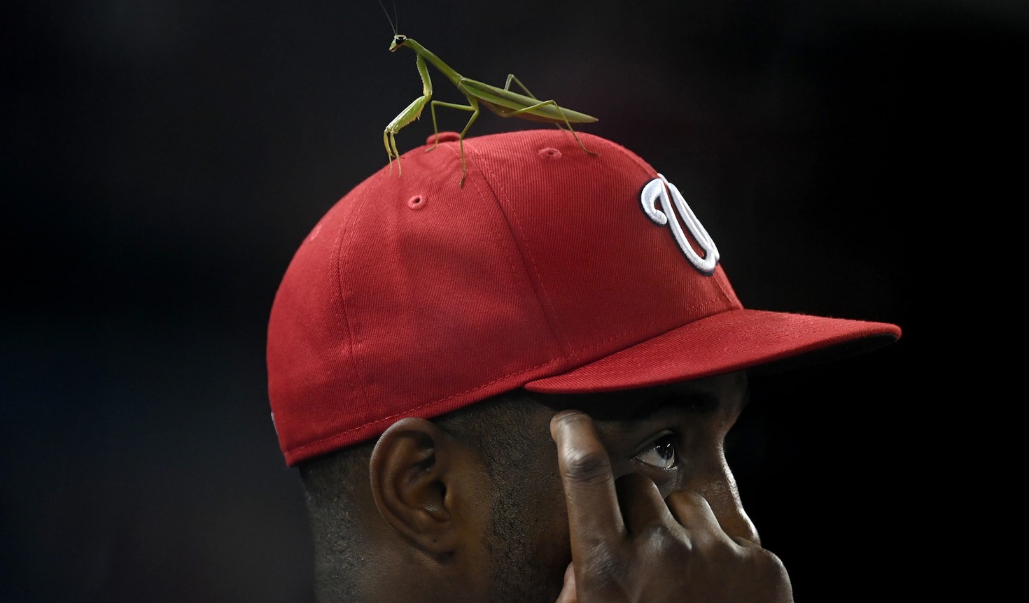 Victor Robles played with a praying mantis on his hat for full