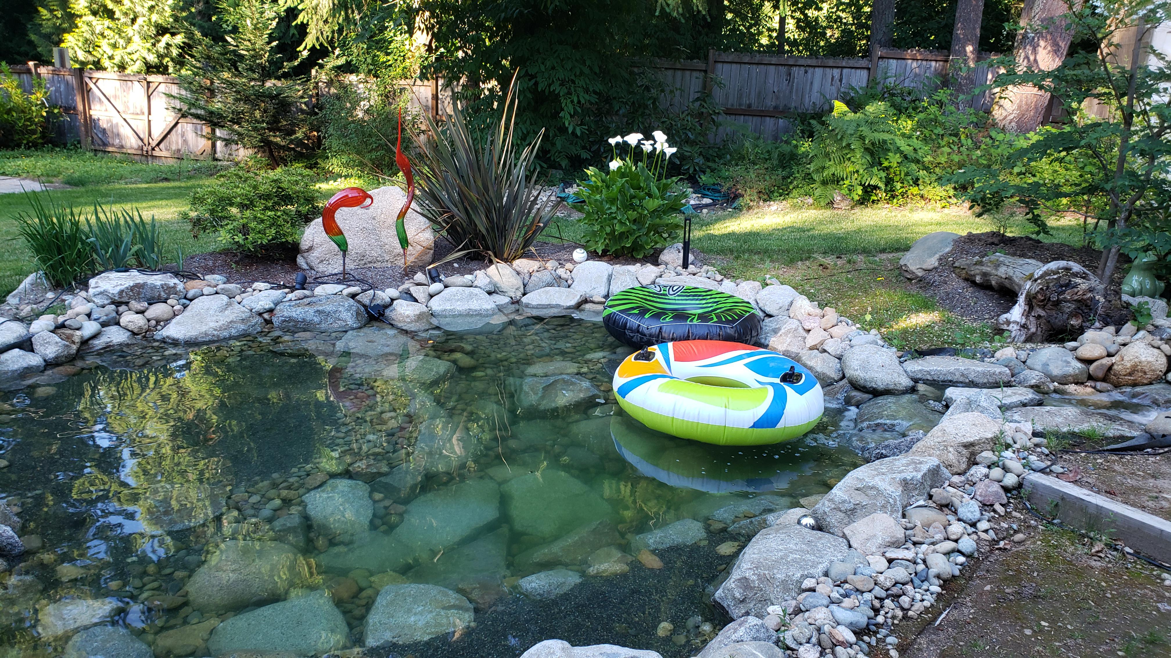 Private nude pond for couples, small groups and females in East Redmond