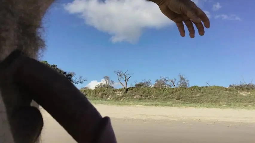 Public erection CFNM gets a beach audience - short clip
