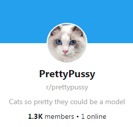 R/PrettyPussy me surpreendeu | Scrolller