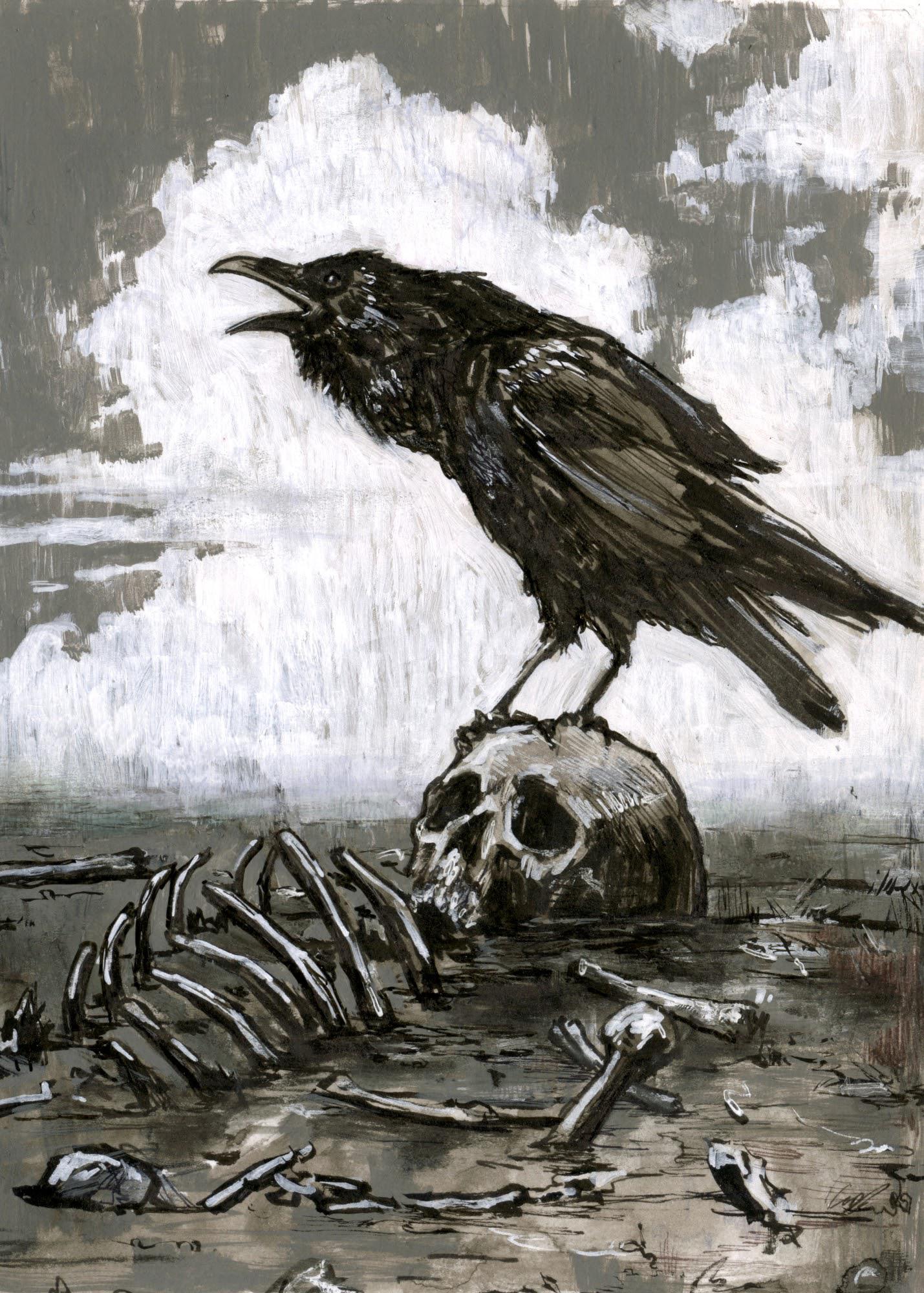 Ручной ворон. Ворон сидит на руке. Человек которого сделали вороном. Человек которого сделали вороном. Фотосессия с вороном.