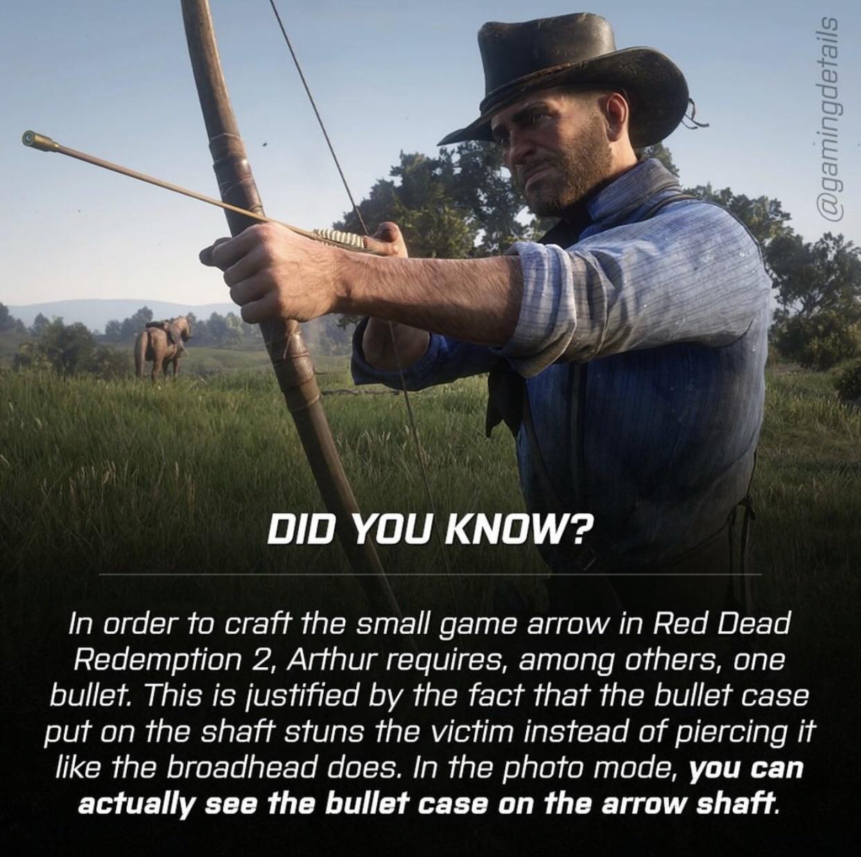 RDR 2 small game arrow detail | Scrolller
