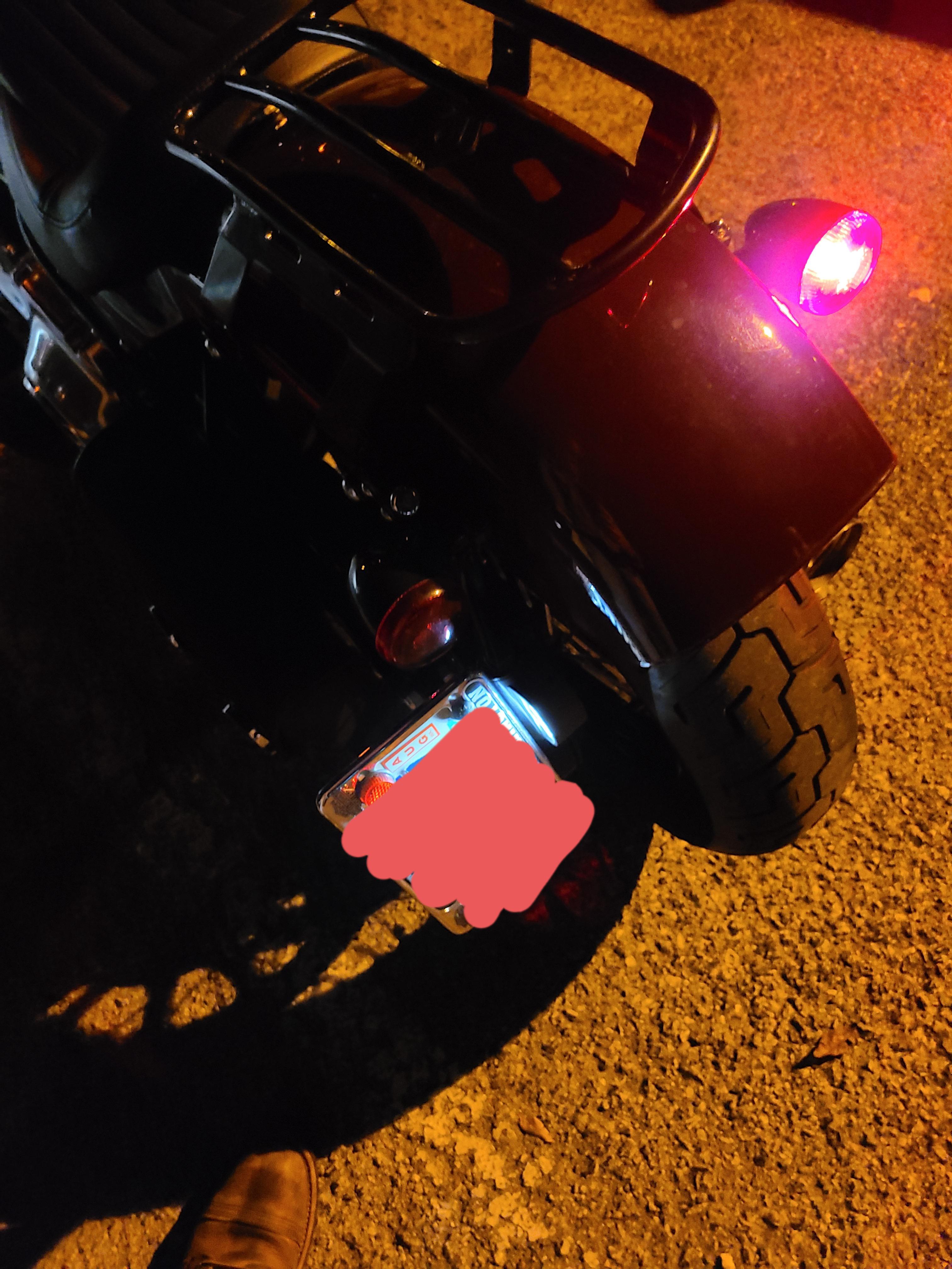 Running light out, brake and blinker works. 2020Flsl Scrolller