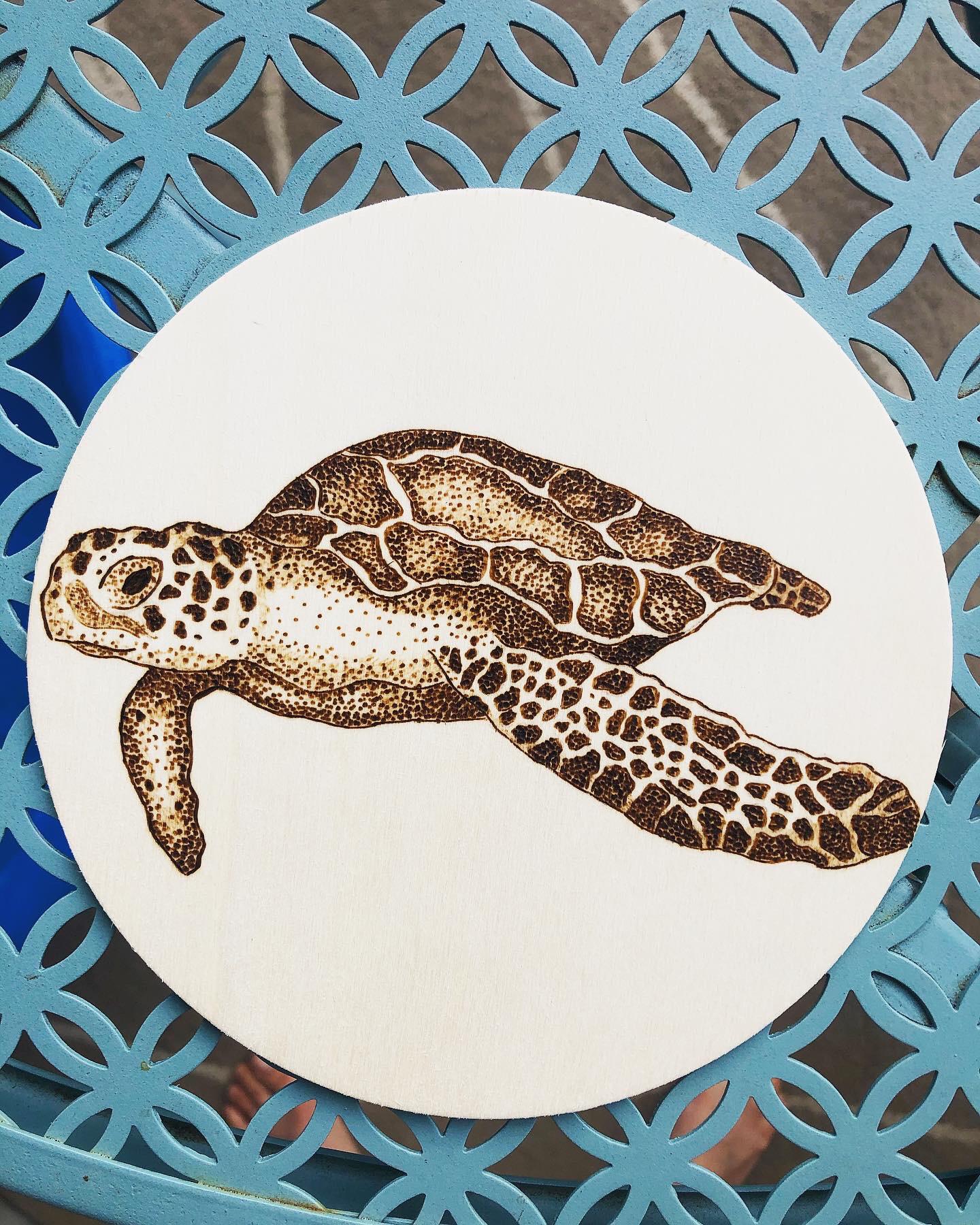 Sea turtle! So. Many. Little. Dots. | Scrolller