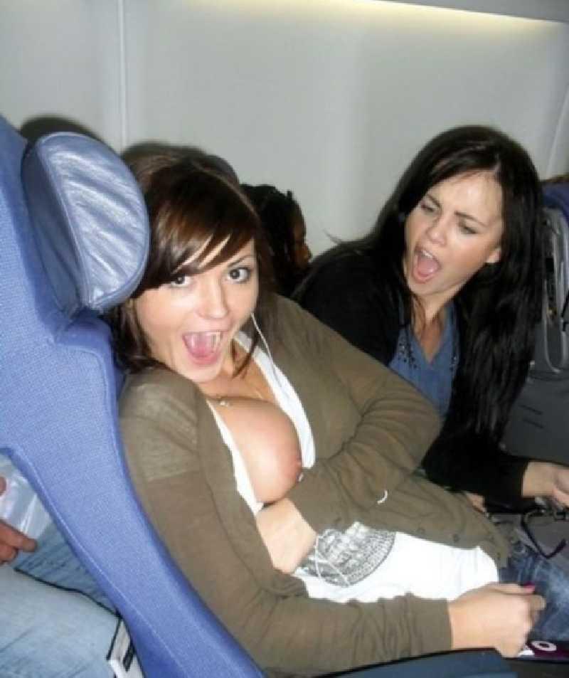 Plane Tits