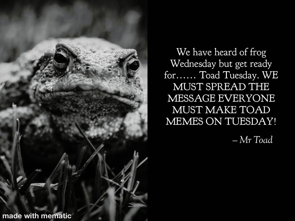 Spread the message Frog Wednesday has fallen and toad Tuesday must rise ...