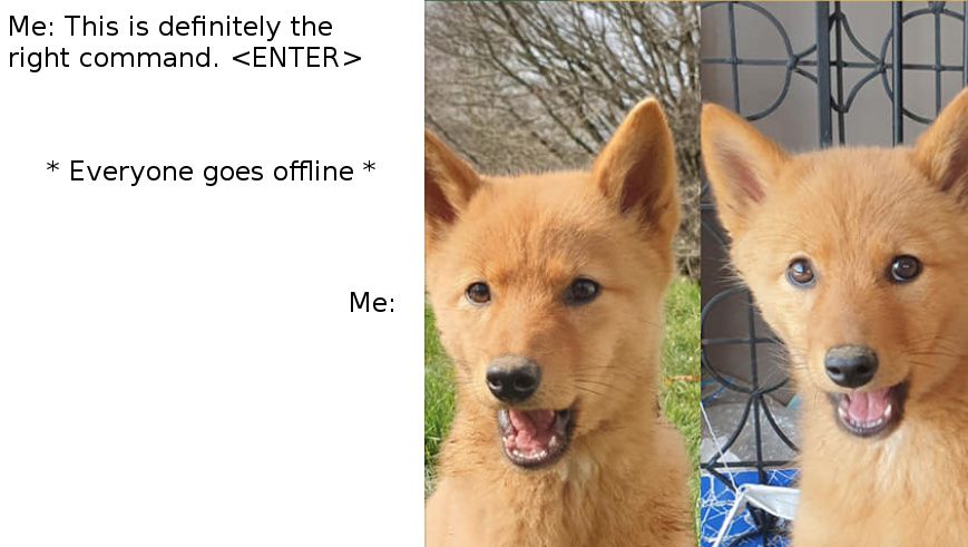 SSH into the router with care | Scrolller