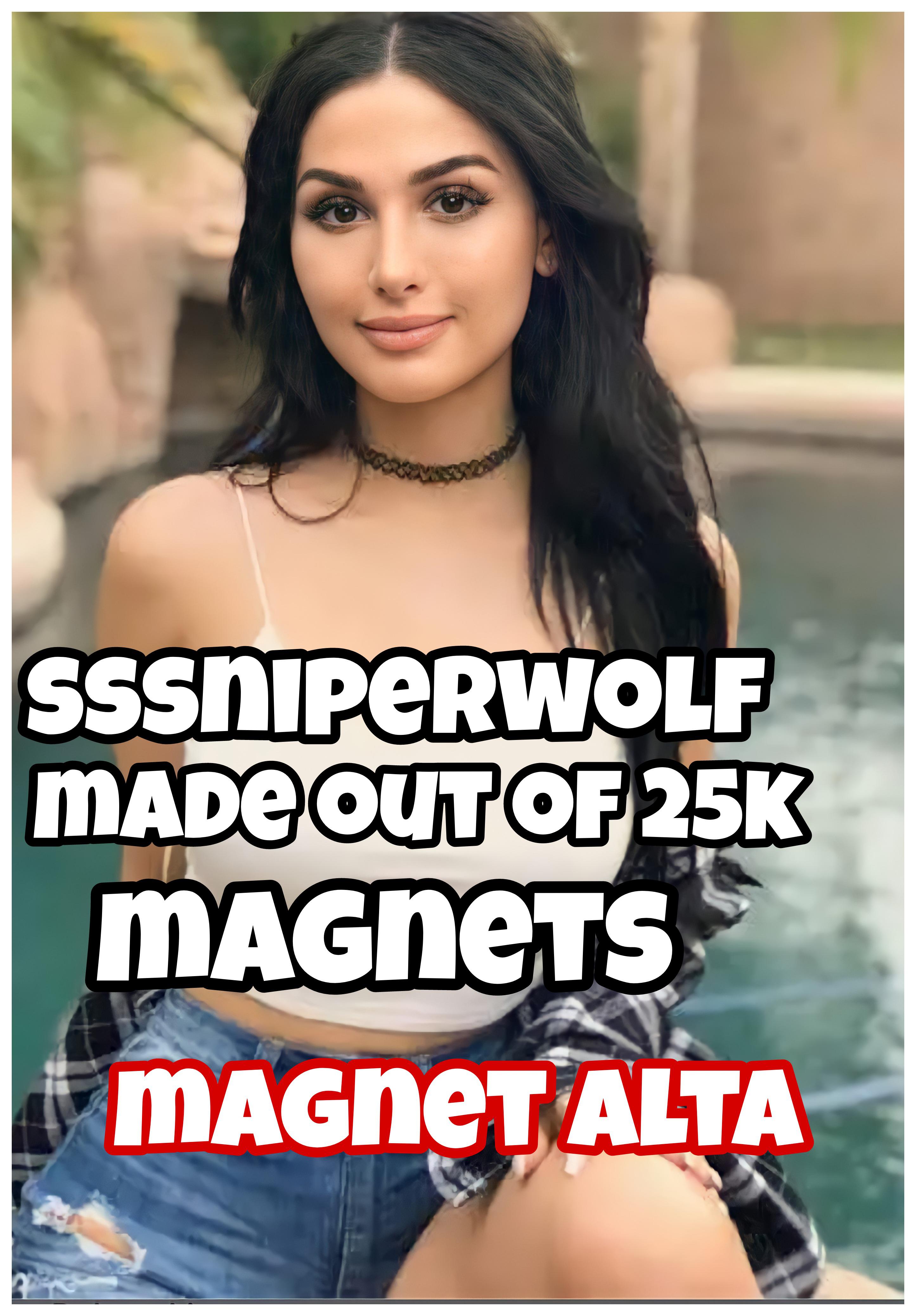 24.  The Future Of Sssniperwolf'S Career - nddrcl9