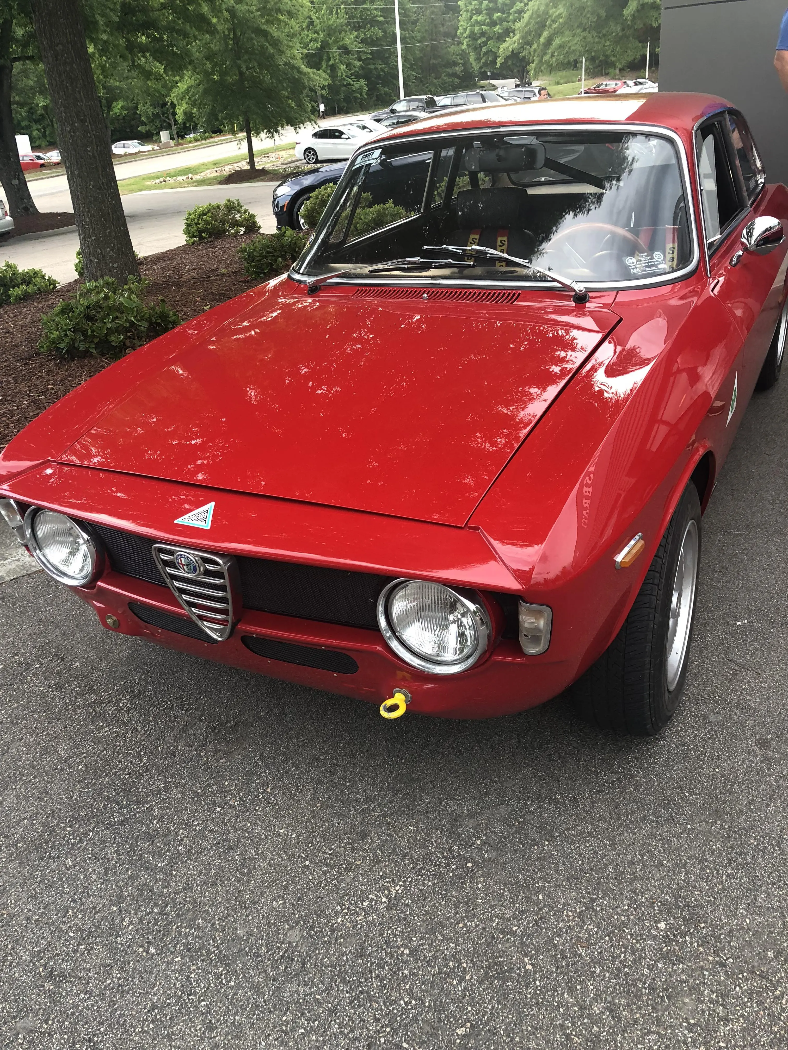 Stately Old Alpha Romeo | Scrolller
