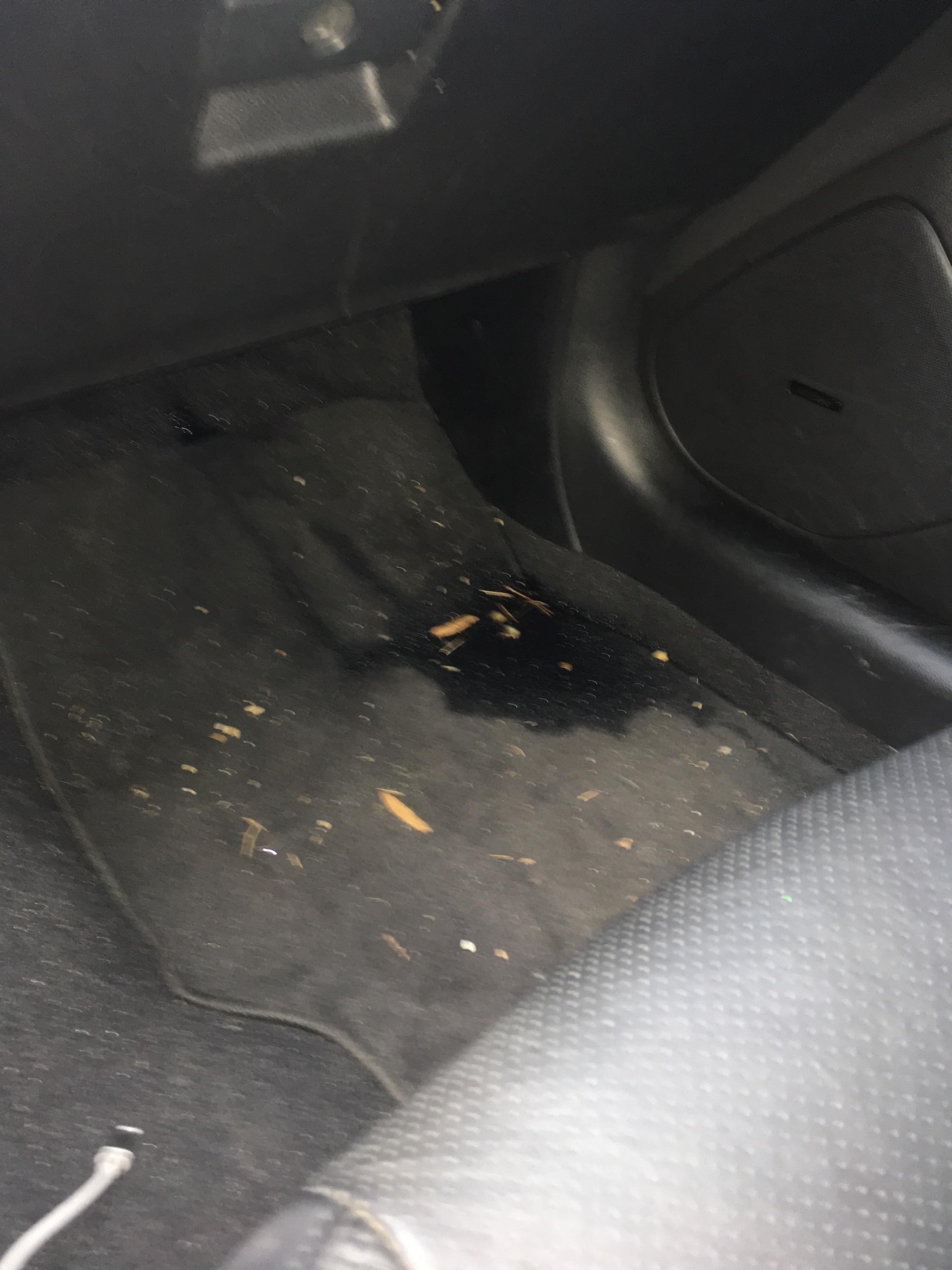 Sunroof drain issue? Passenger side leak Scrolller