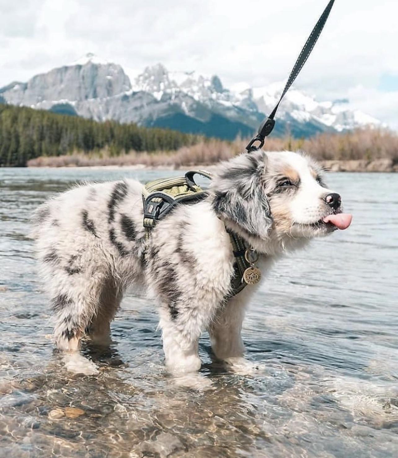 Suns out, Tongues out 😋 | Scrolller