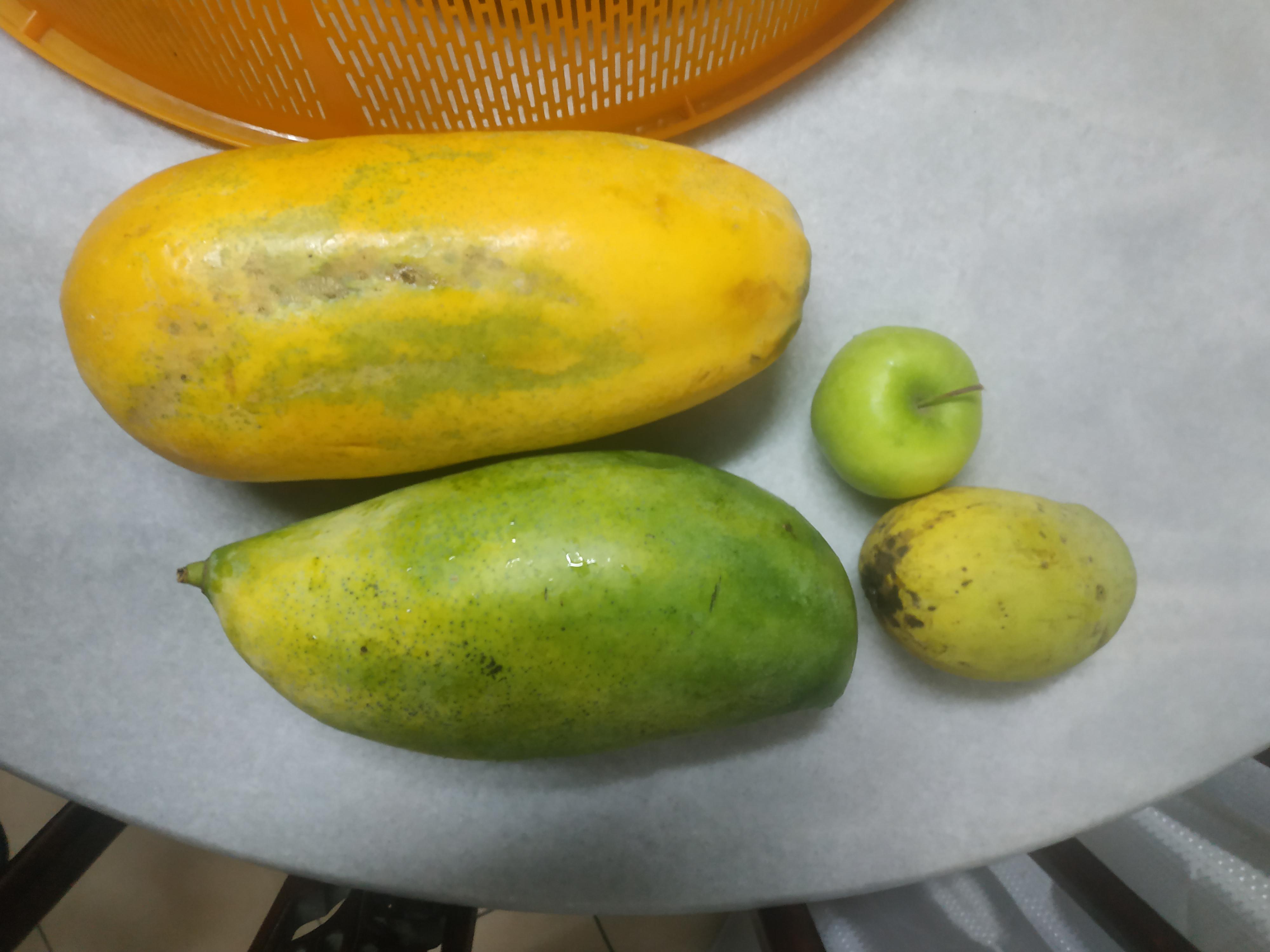 The size of the mango my aunt gave me ( a normal papaya, apple and ...