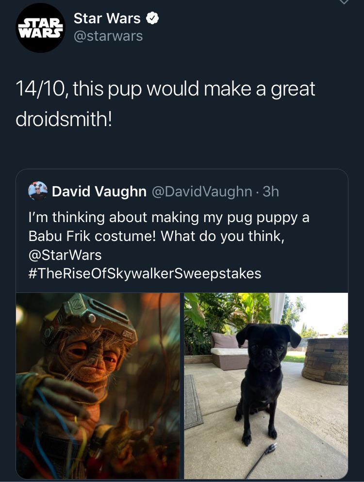 The subtle way the Official SW Twitter dropped the trailer date | Scrolller