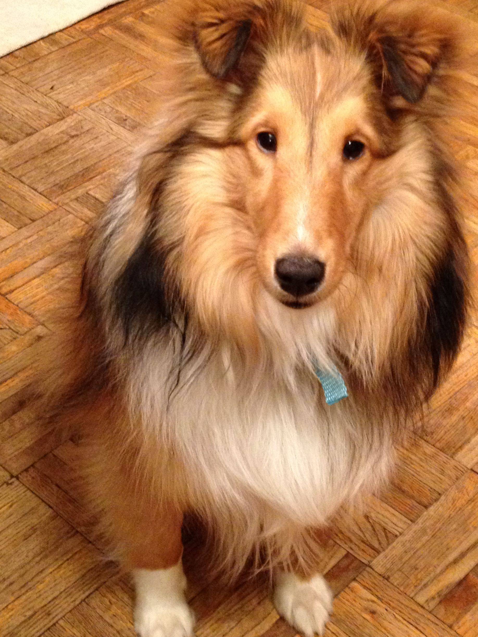 There haven't been any posts here lately! This is my lovely 10 month ...