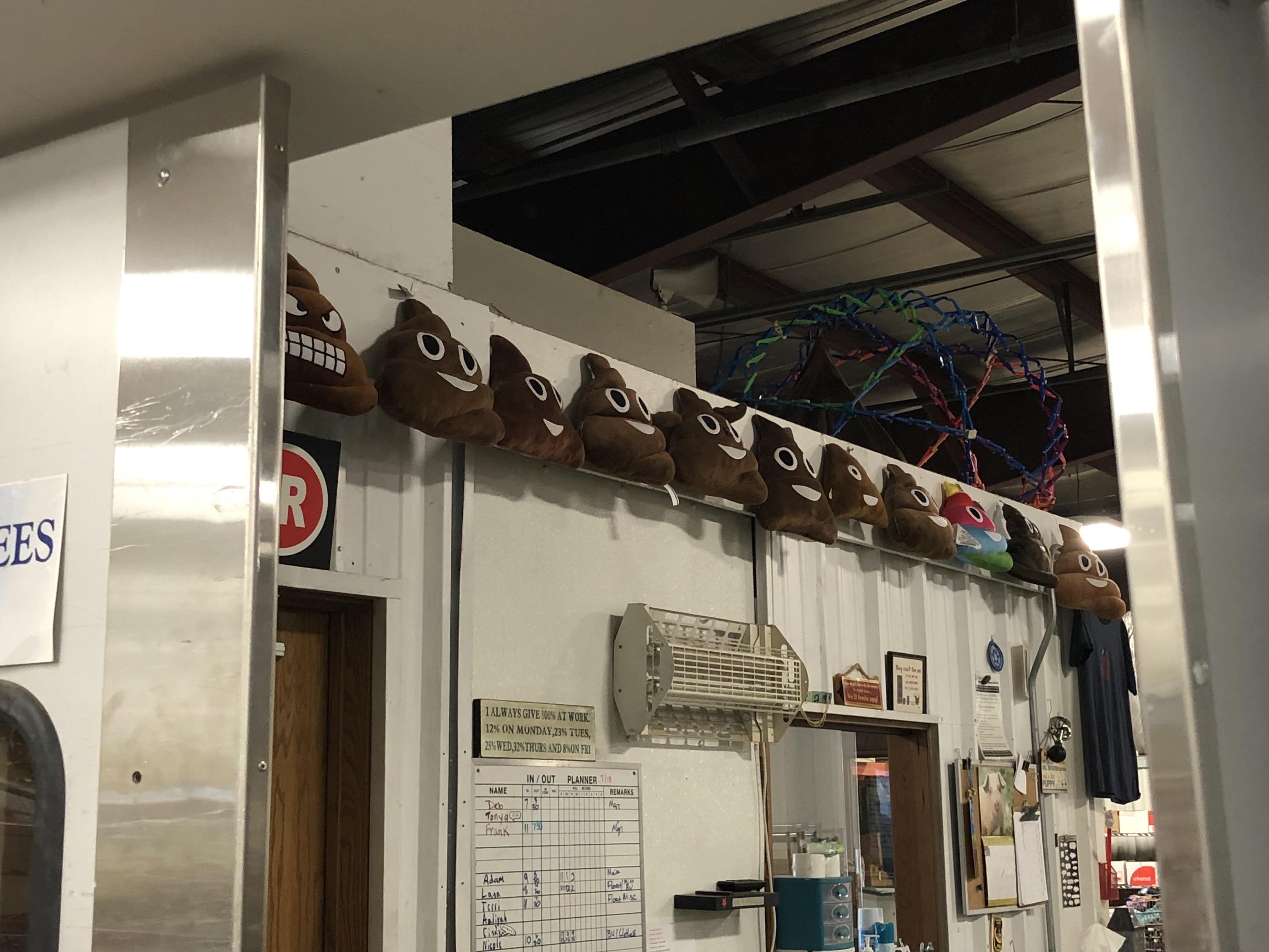 This charity shop collects the poop emoji pillows donated. While ...