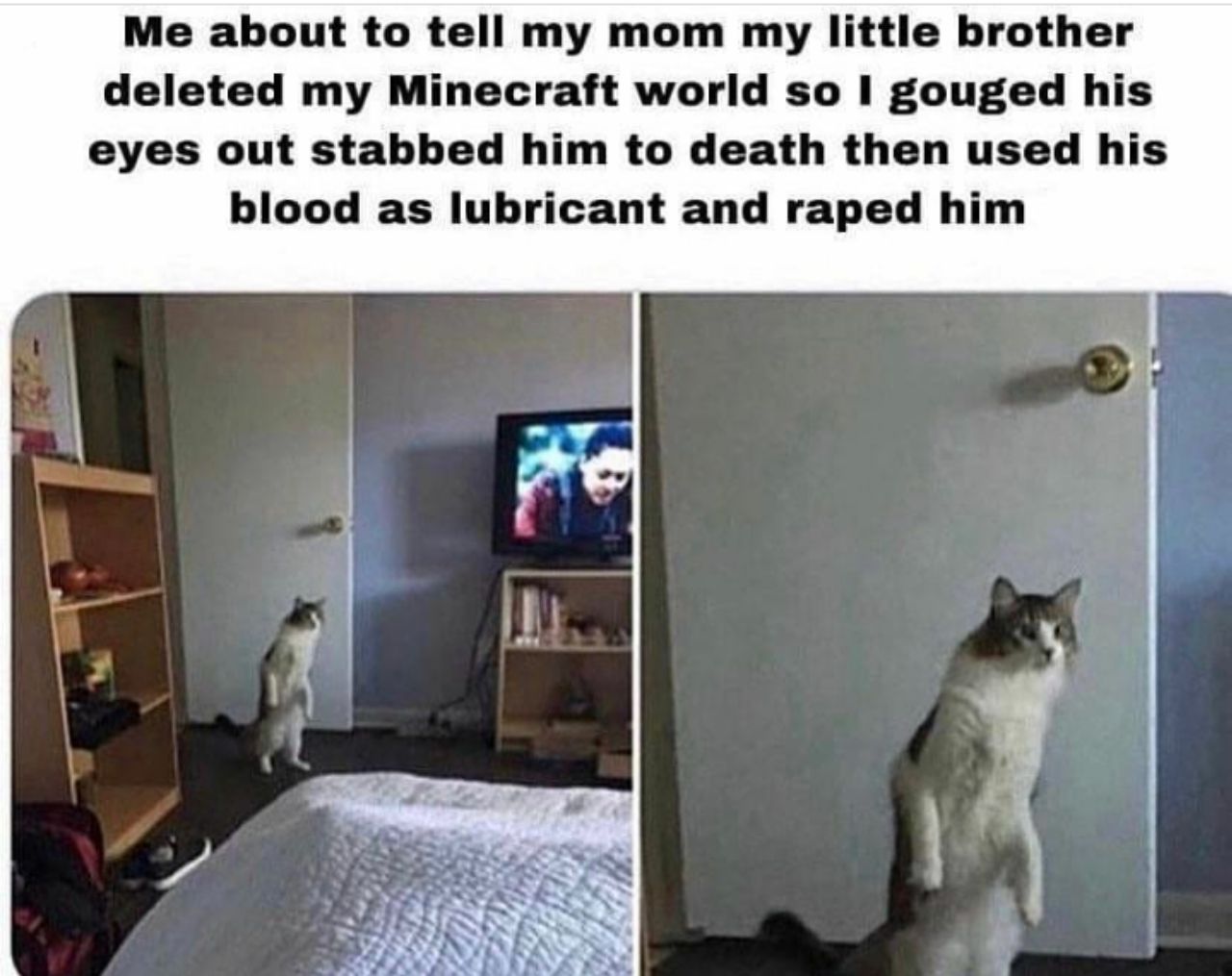 This doesn't even make sense Scrolller