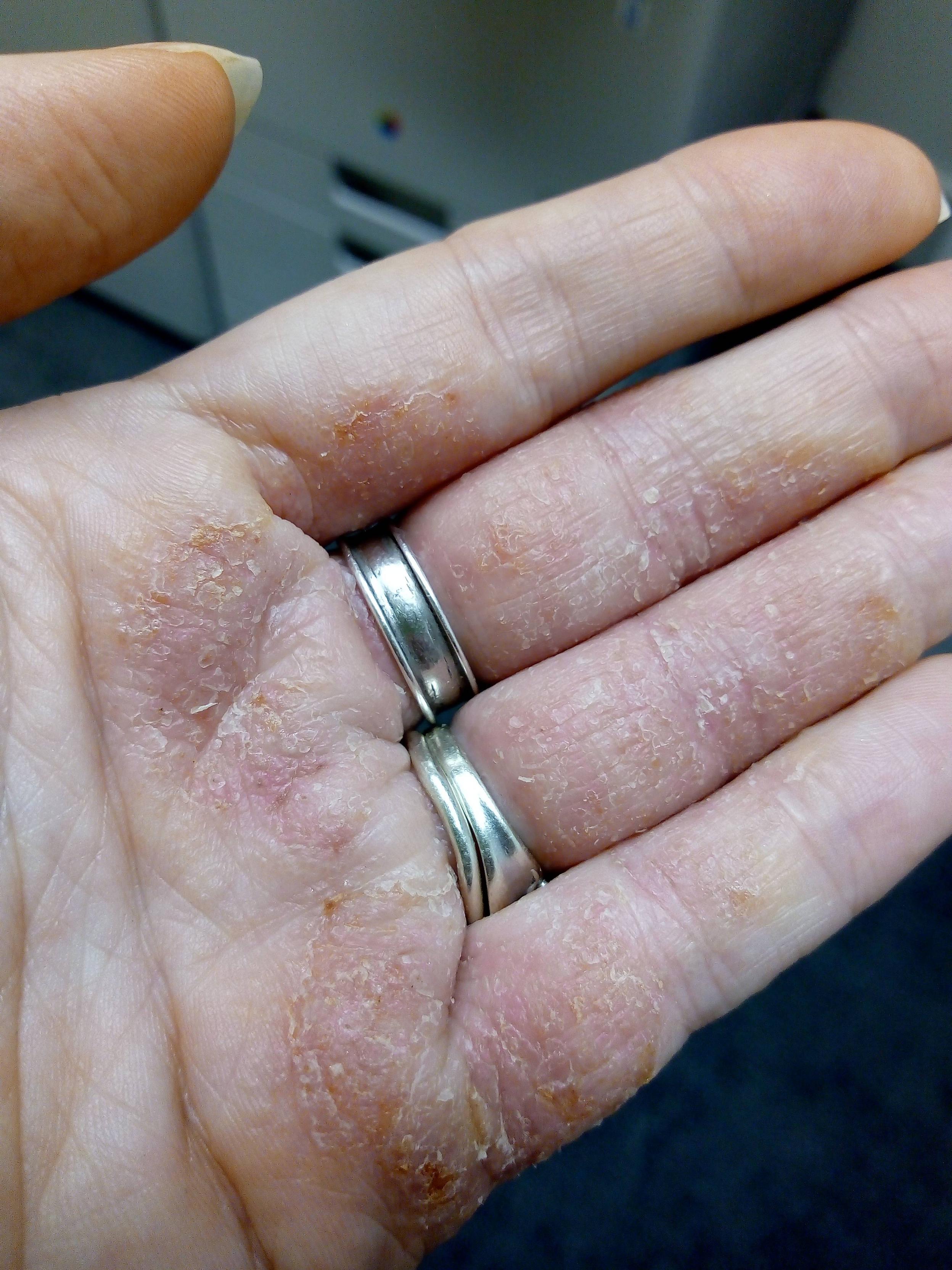 Bowdoin Polaris: The Pressure To Succeed Is Driving Students INSANE!