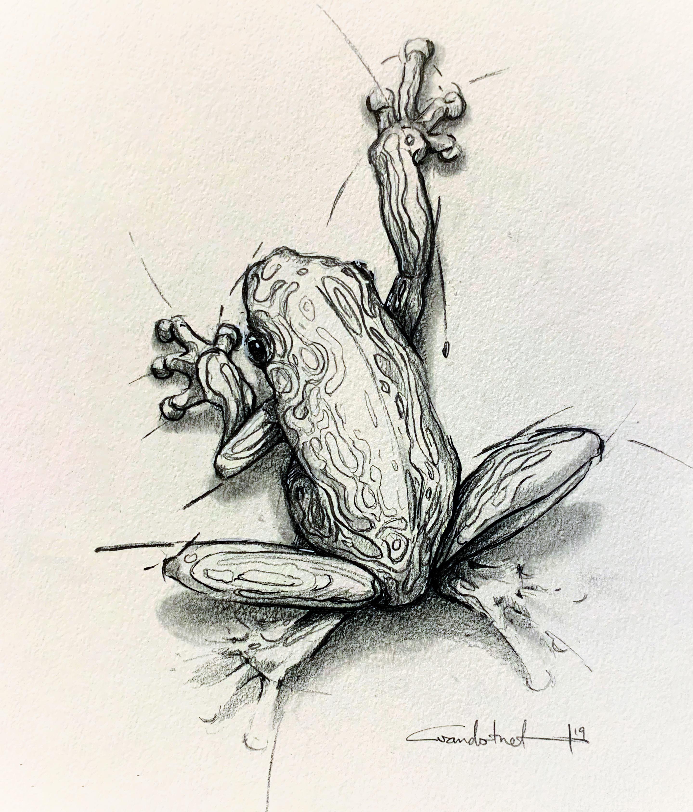 “transformation”, pencil/ink art | Scrolller